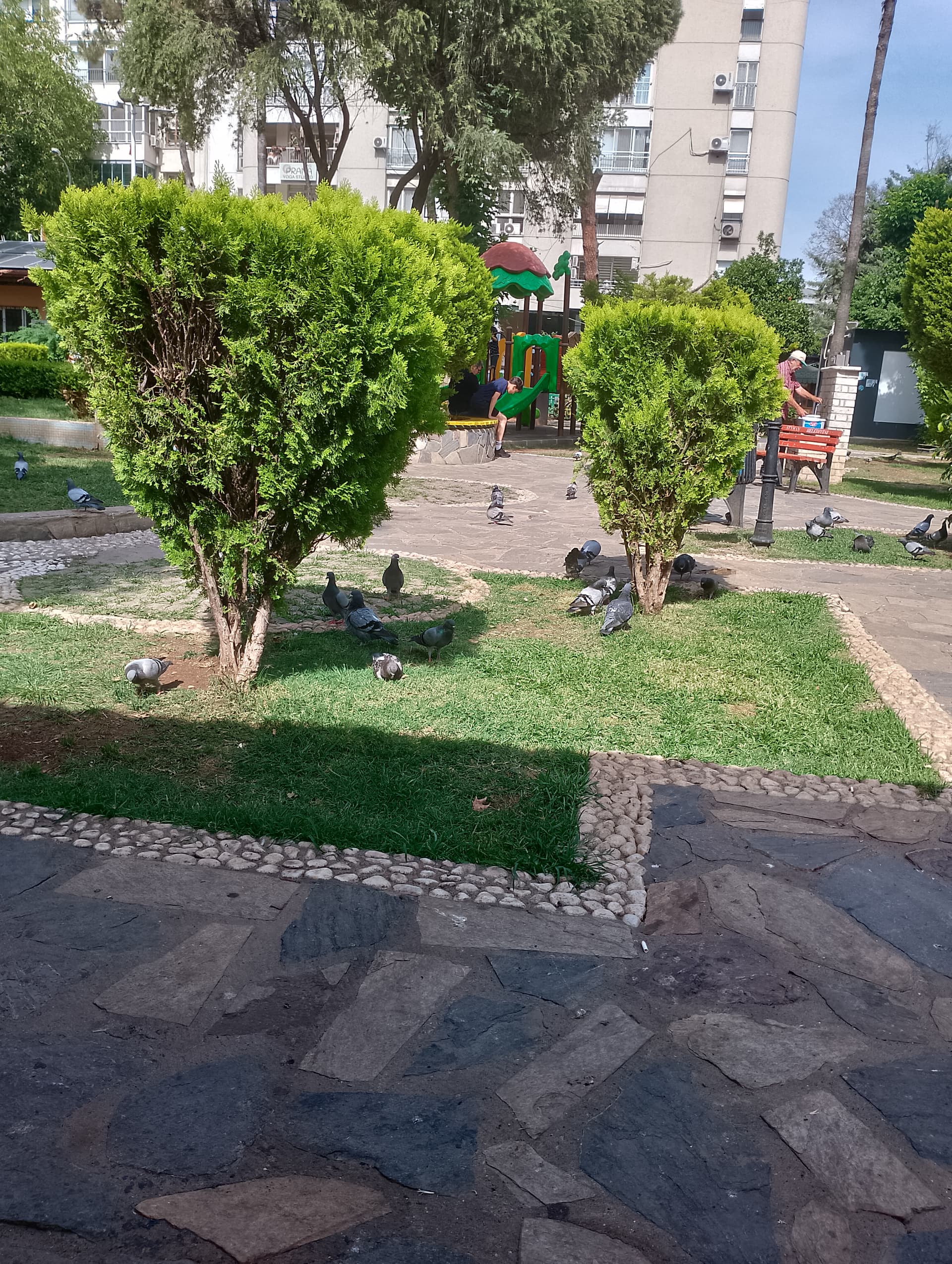 IMG_20240519_152854_HDR