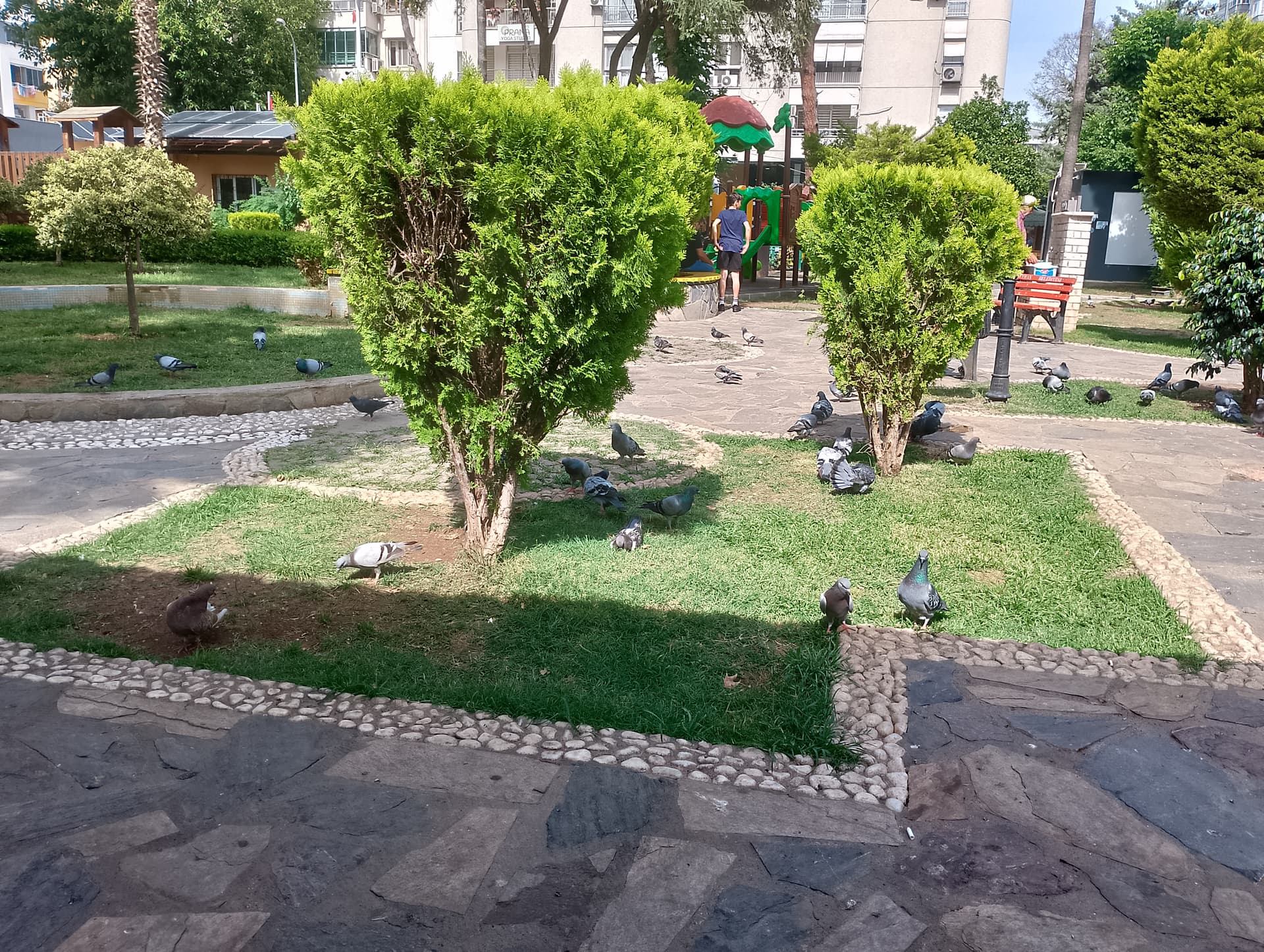 IMG_20240519_152859_HDR