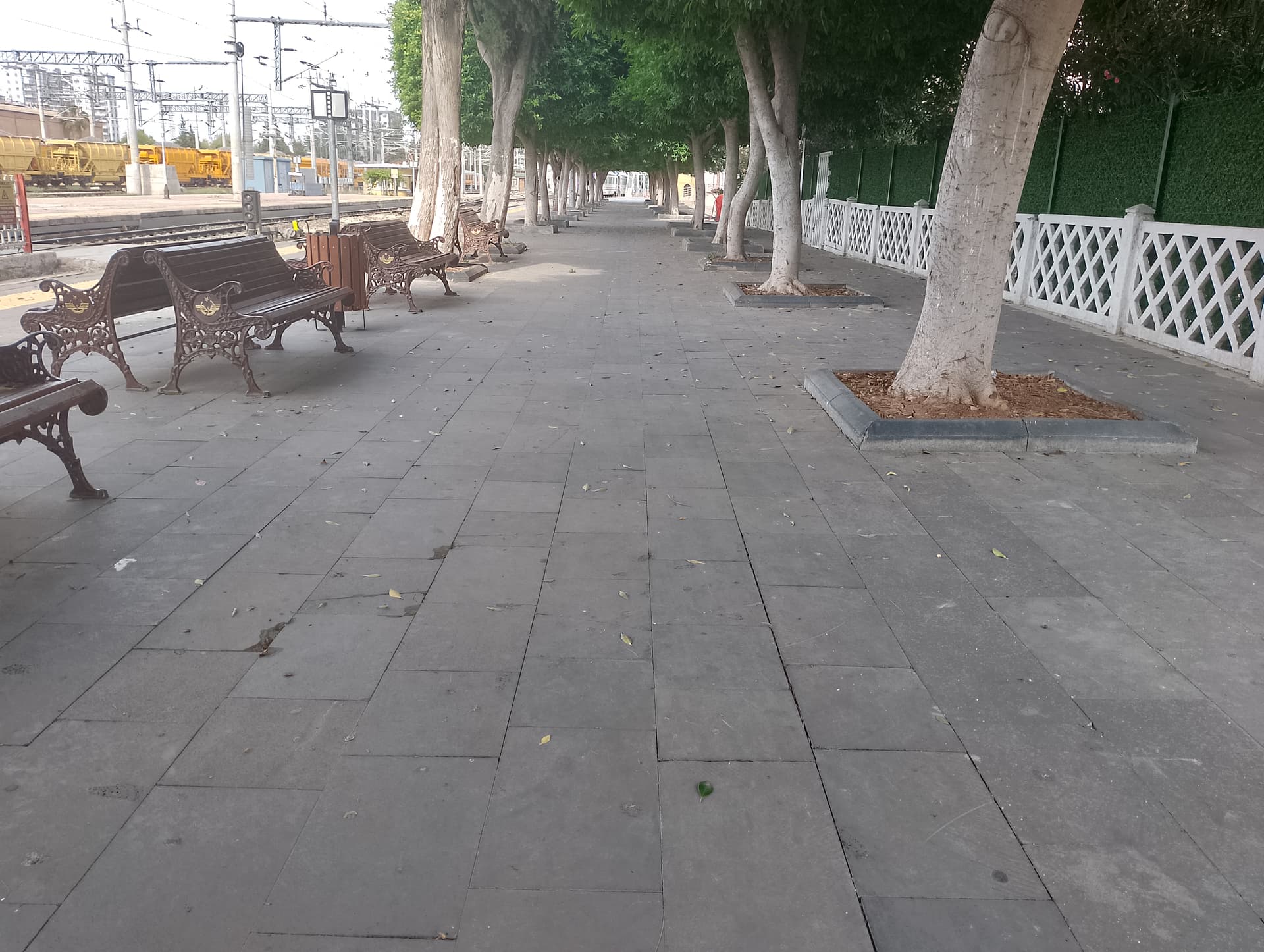 IMG_20240519_162149_HDR