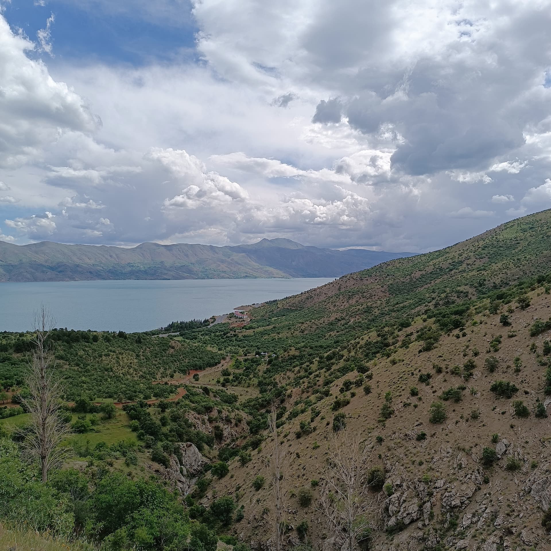 IMG_20240525_150059