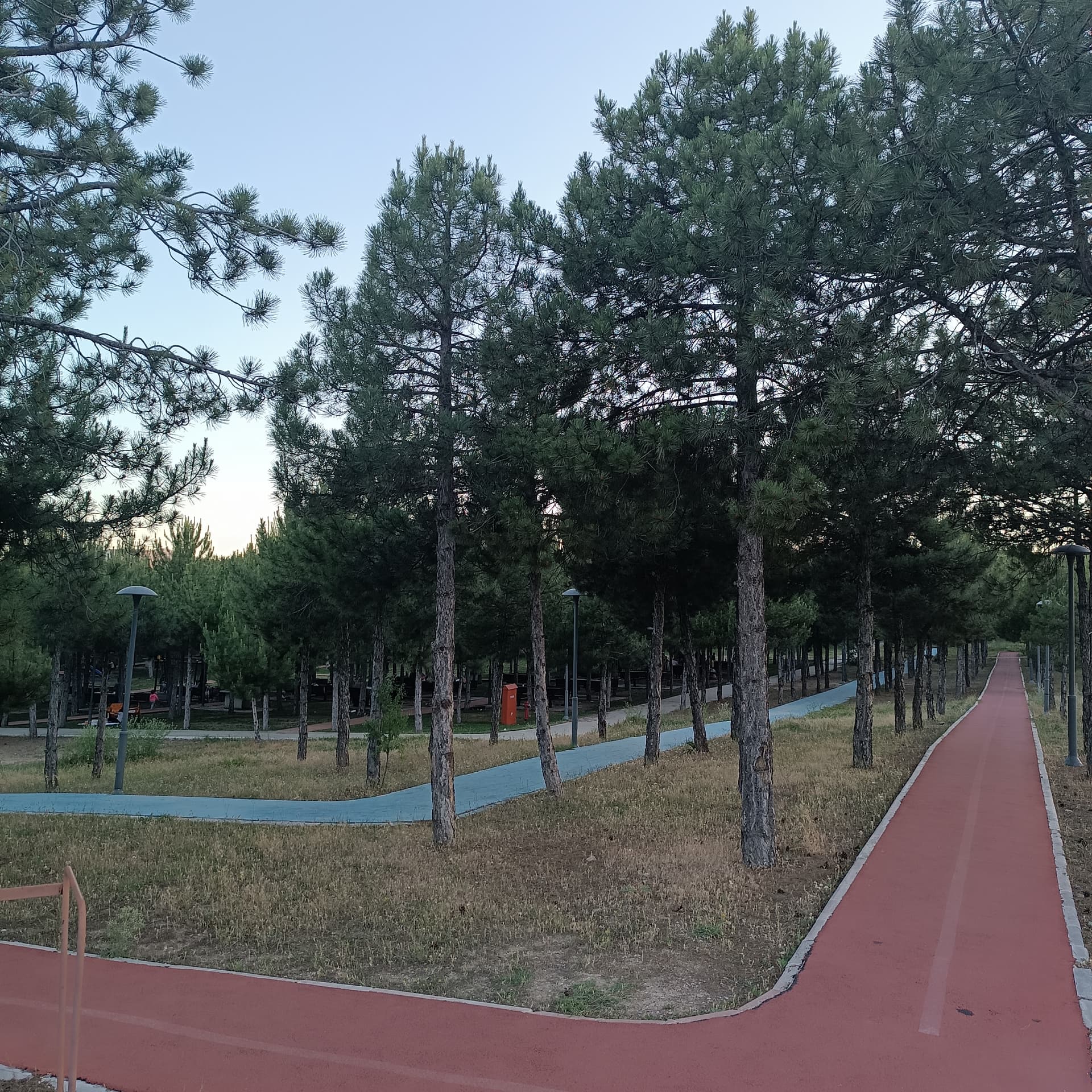 IMG_20240601_192353