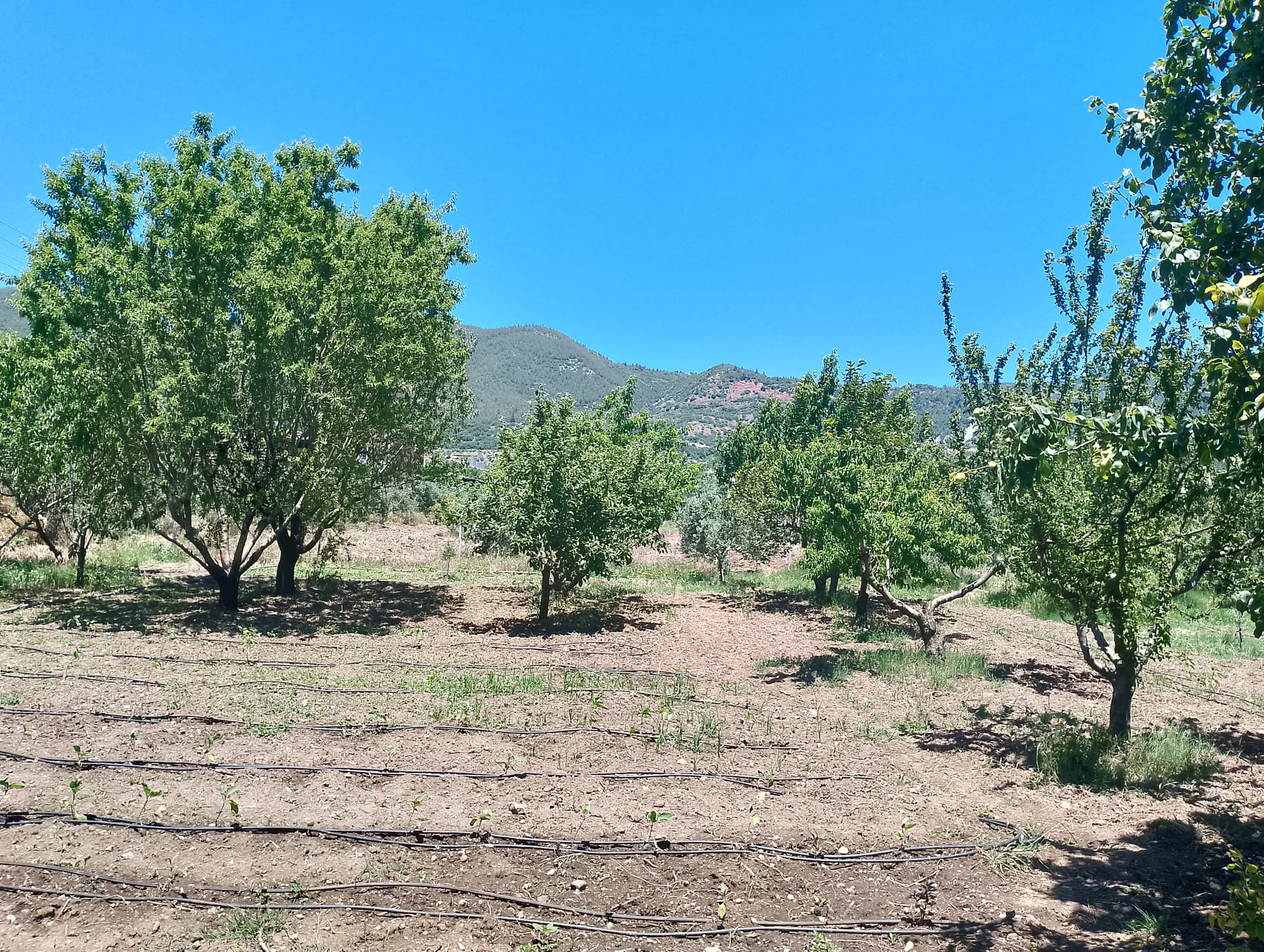 IMG_20240602_121638_HDR