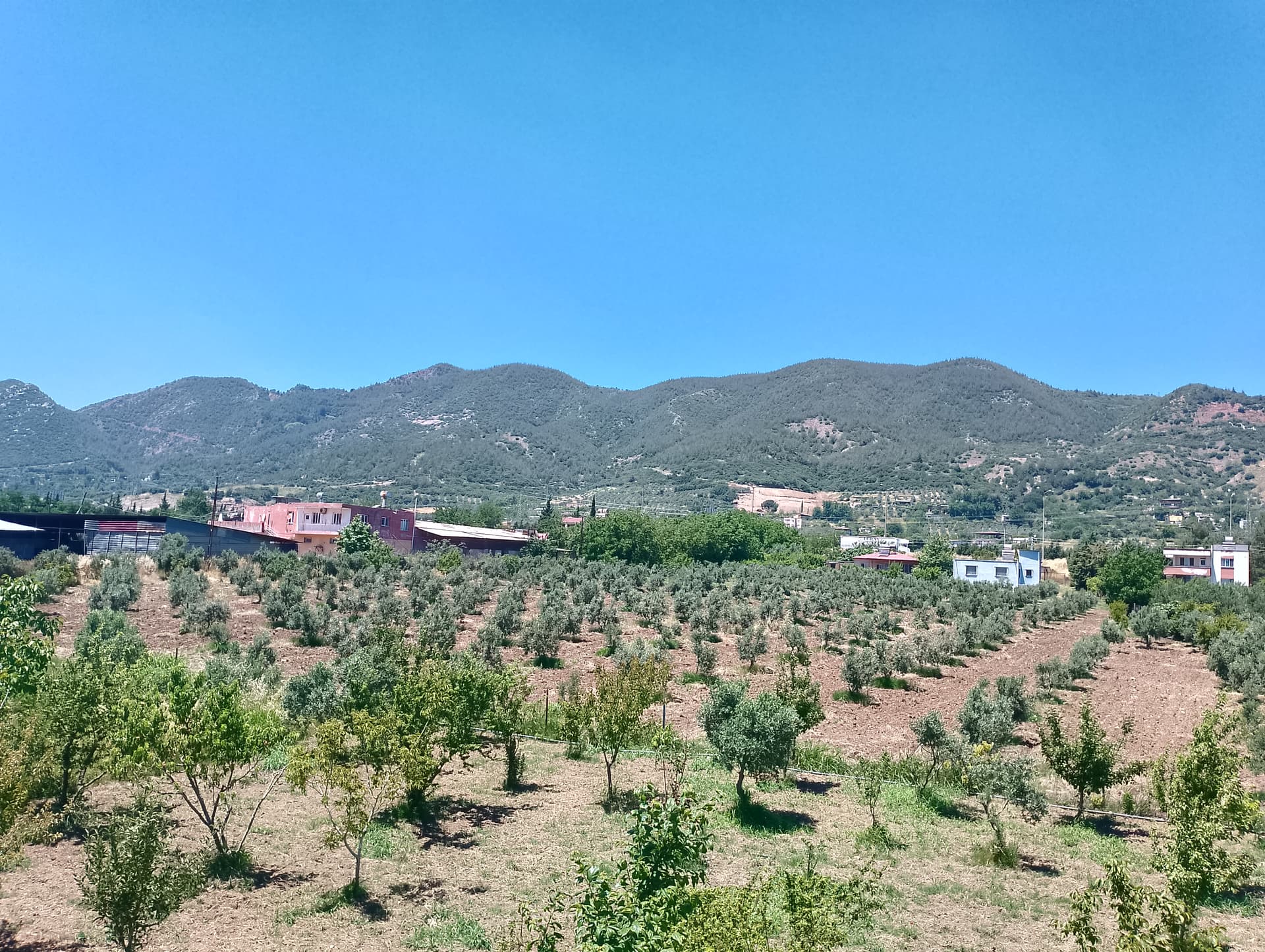 IMG_20240602_130434_HDR.jpg
