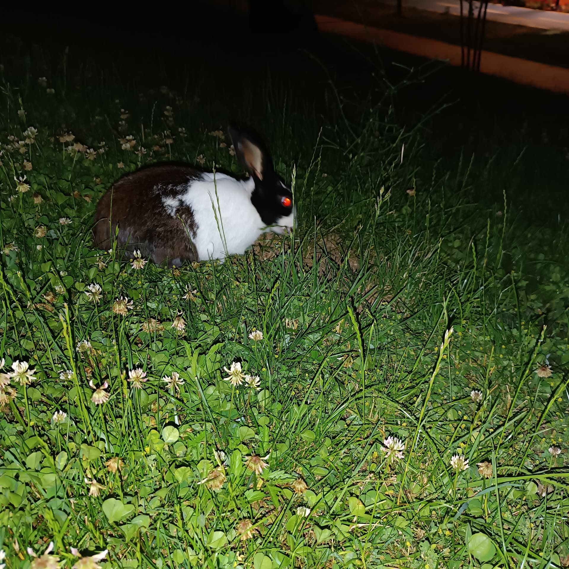 IMG_20240602_205811