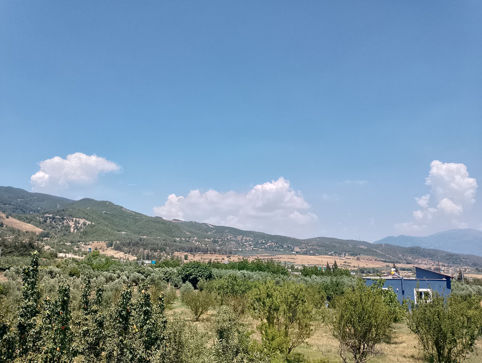 IMG_20240630_134929_HDR