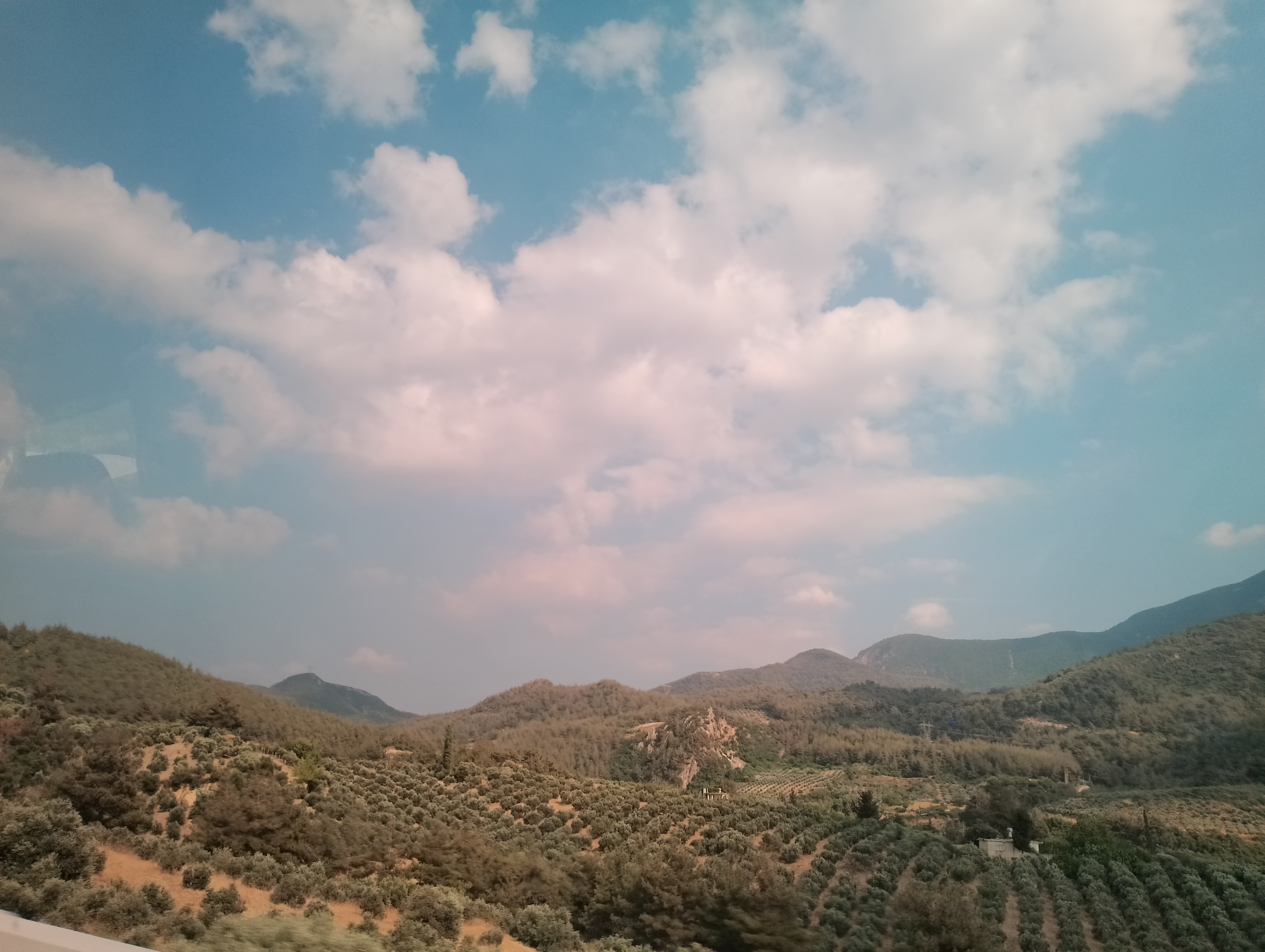 IMG_20240713_163618_HDR.jpg