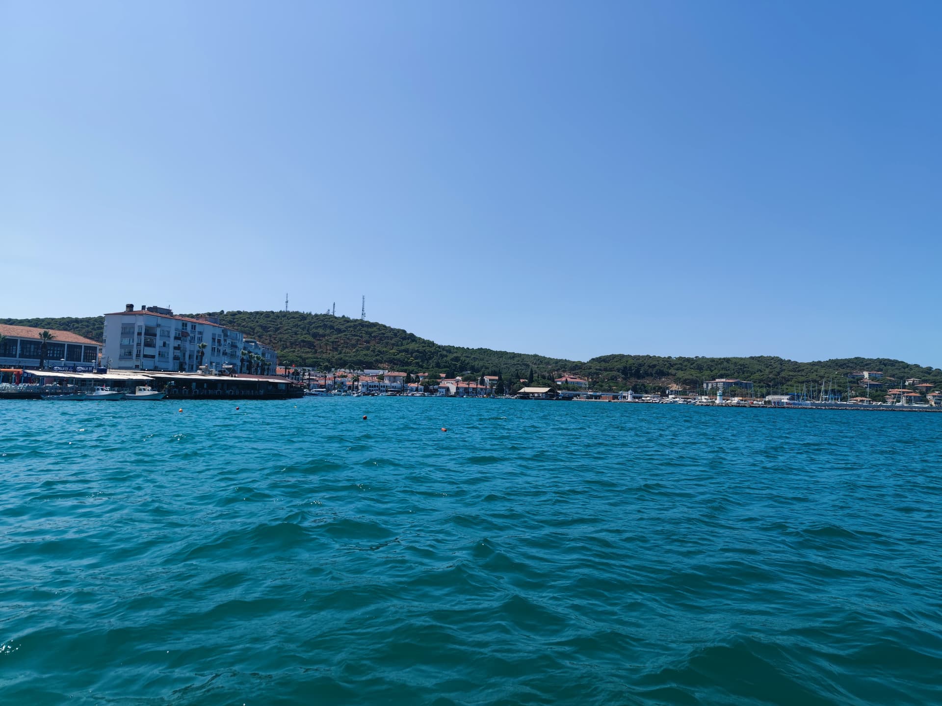 IMG_20240806_113619