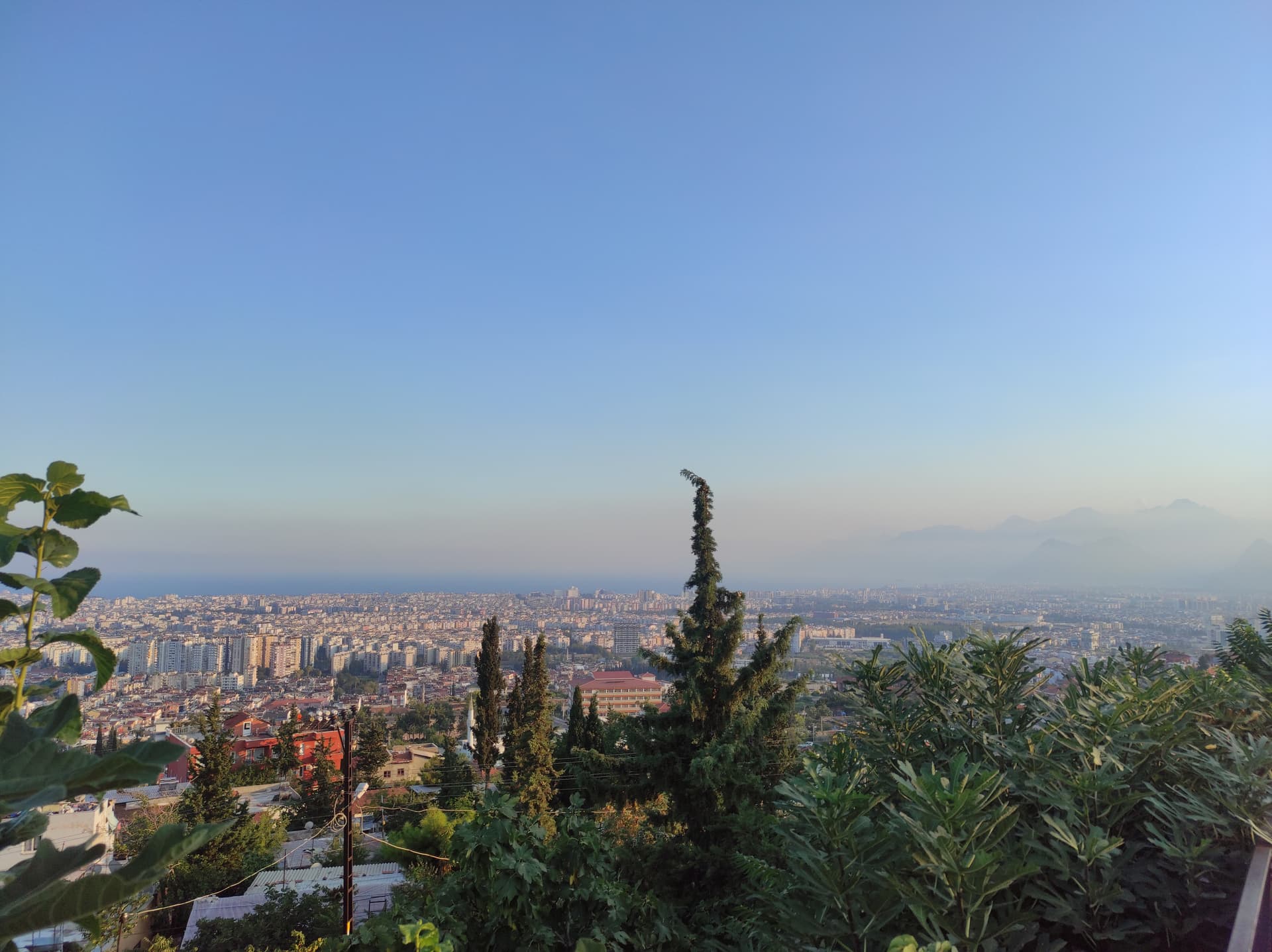 IMG_20240809_185841