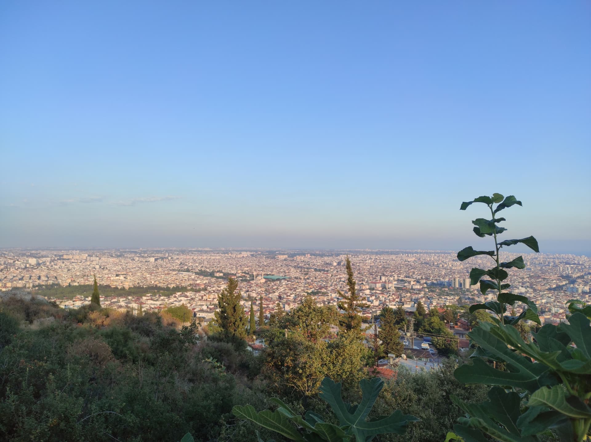 IMG_20240809_185854
