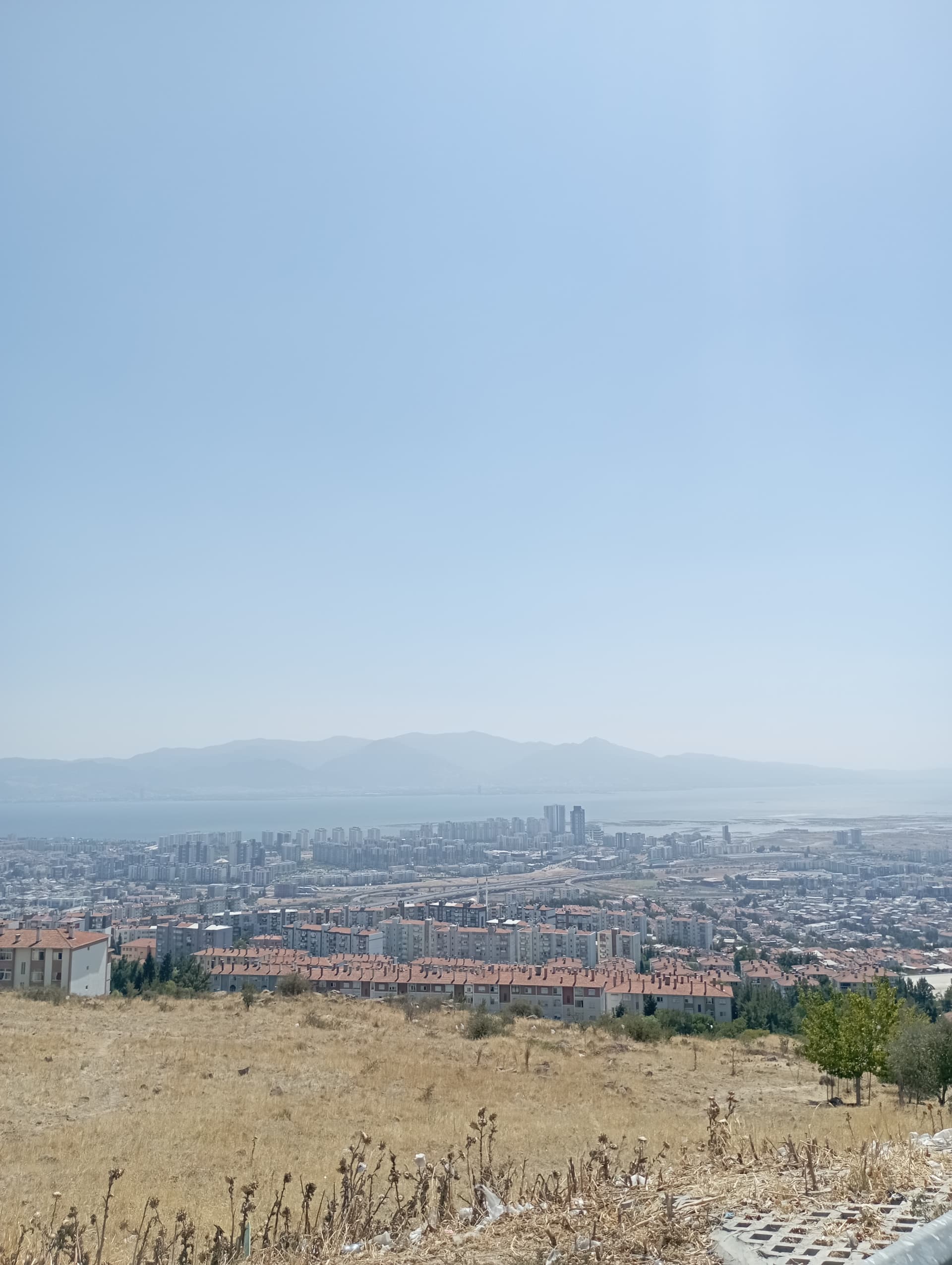 IMG_20240812_144744