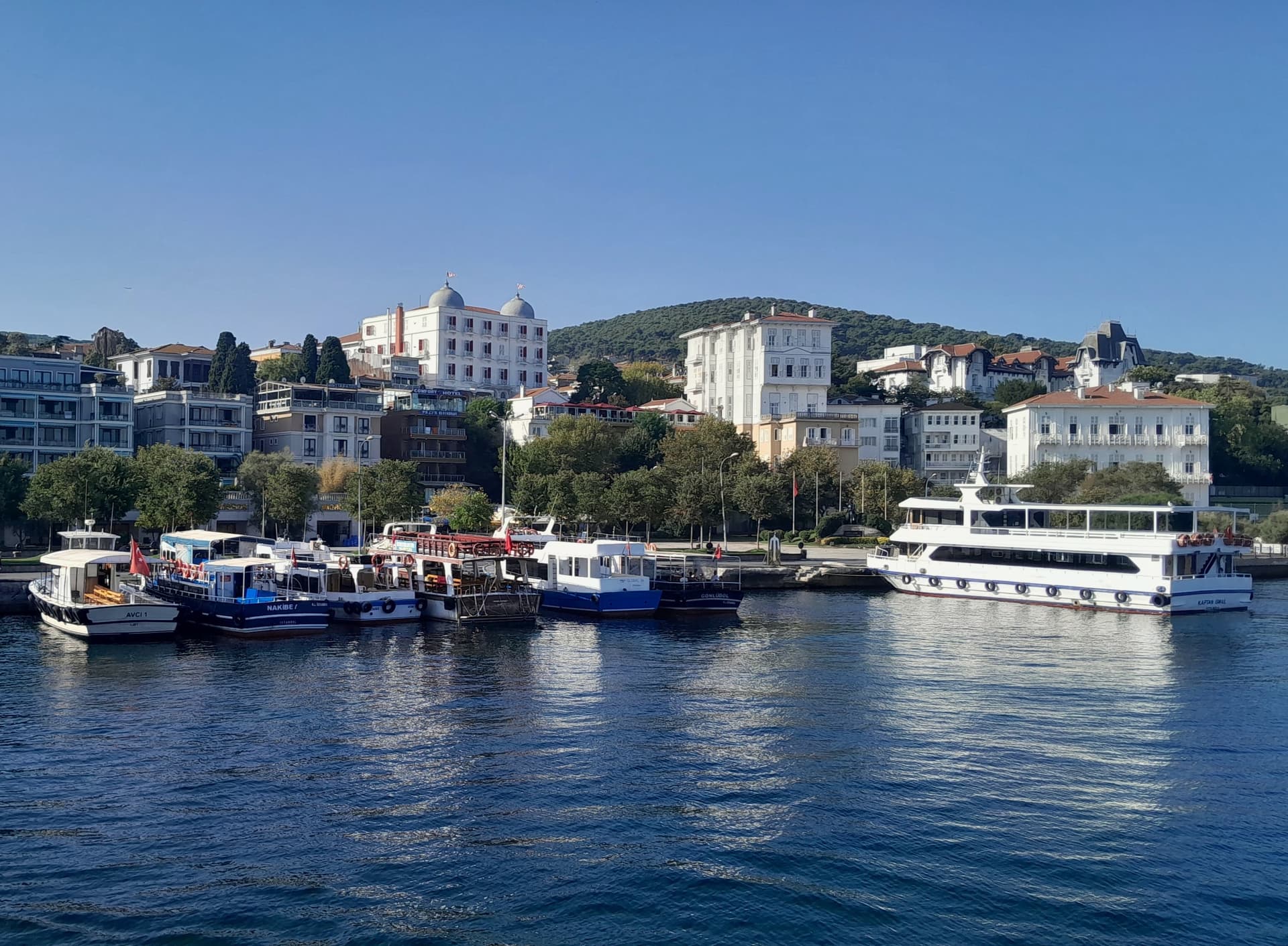 IMG_20240828_213016_896