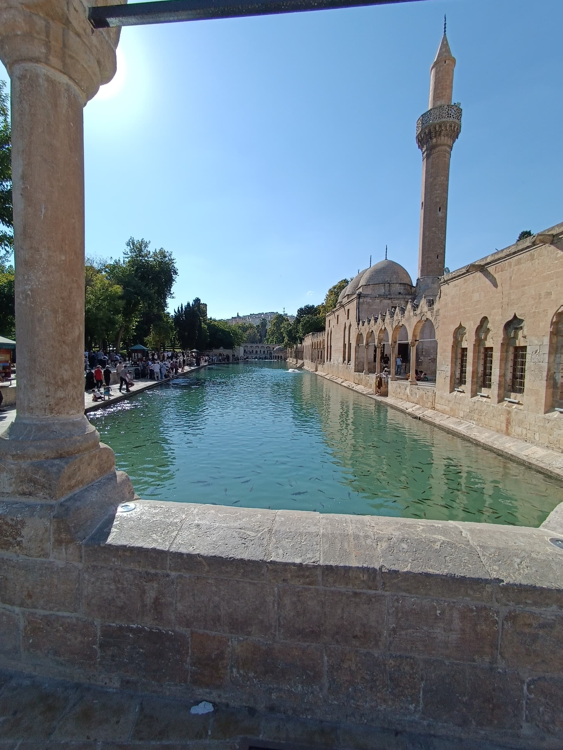 IMG_20240831_154914
