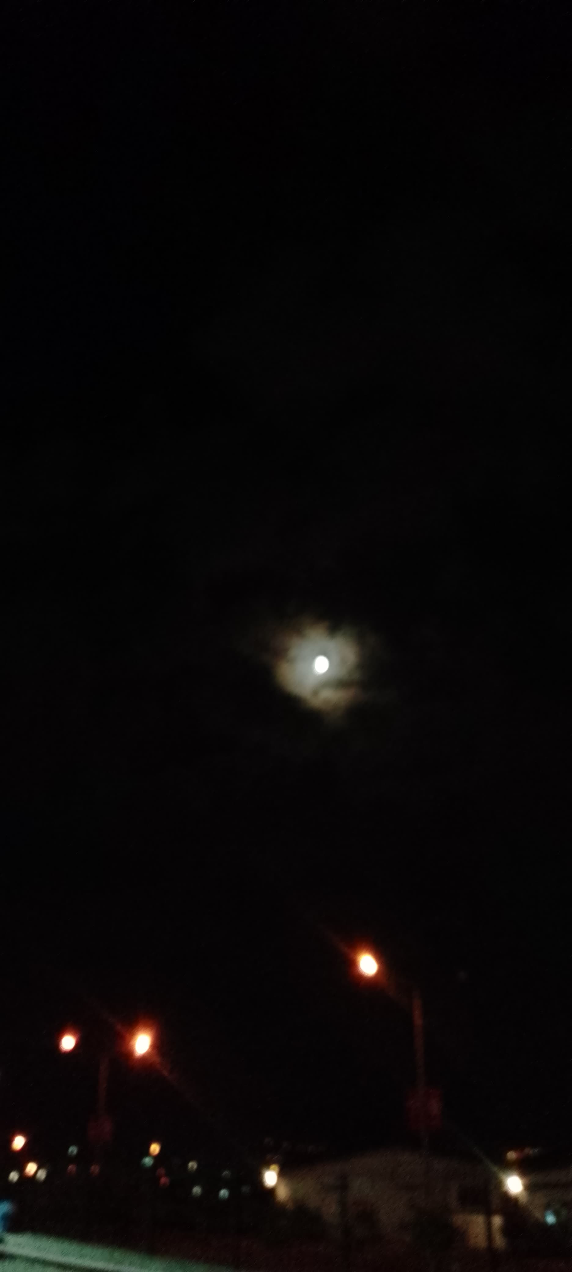 IMG_20240913_200835_478