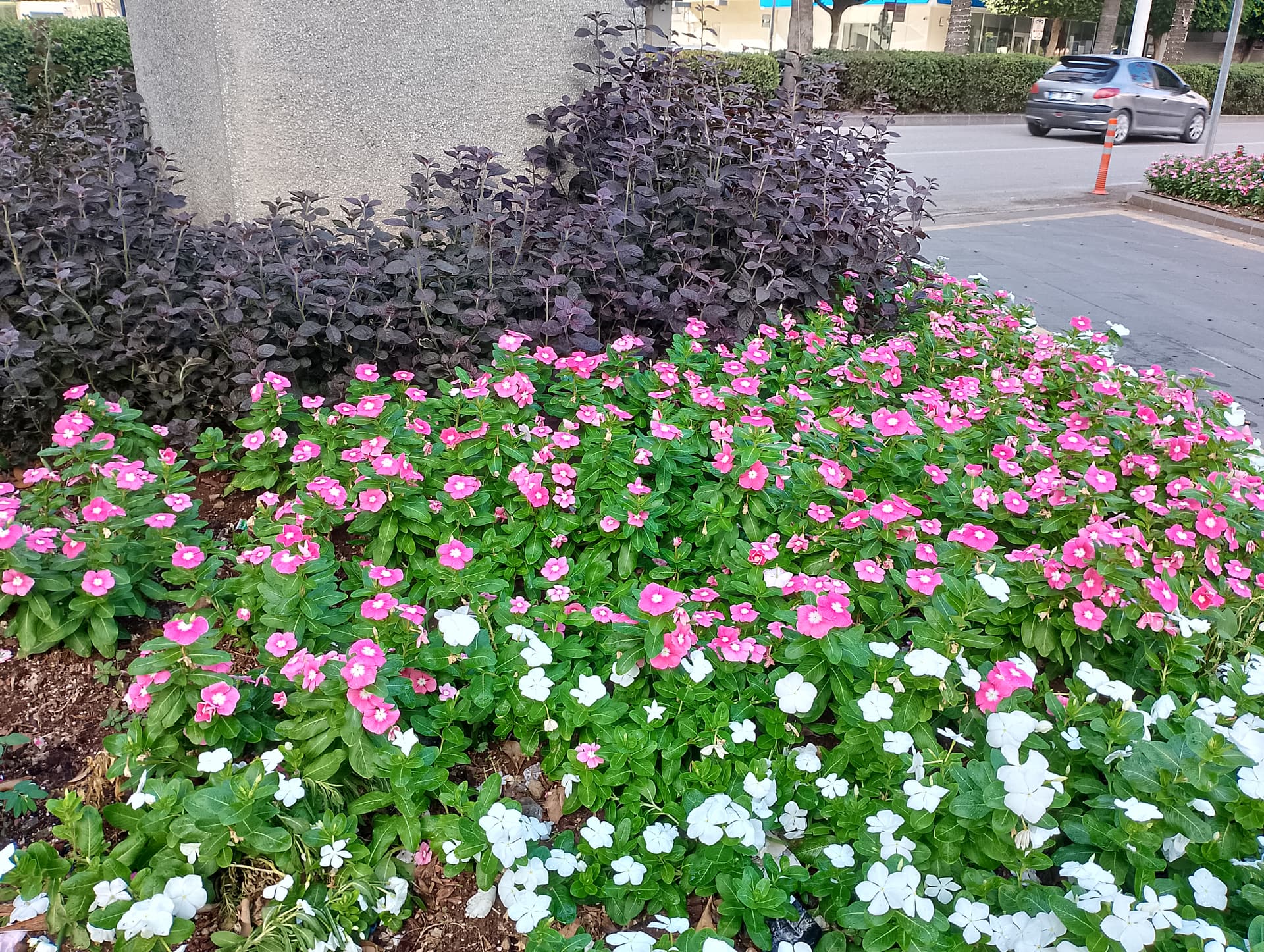 IMG_20240922_155320_HDR