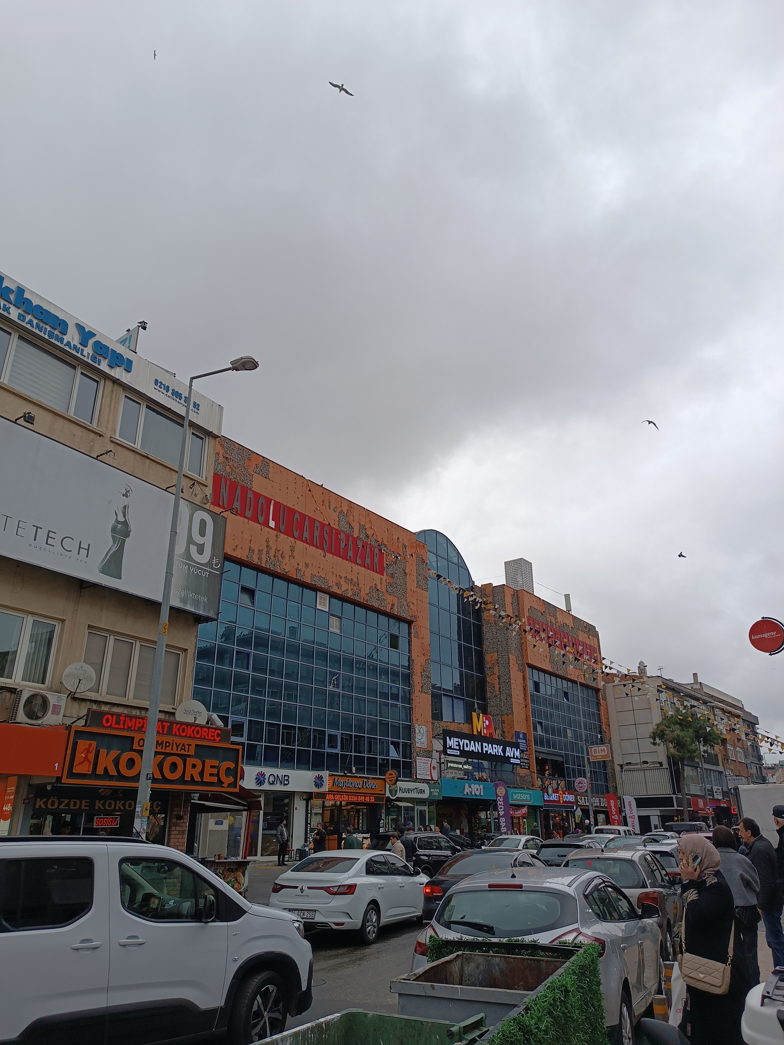 IMG_20241115_142631.jpg
