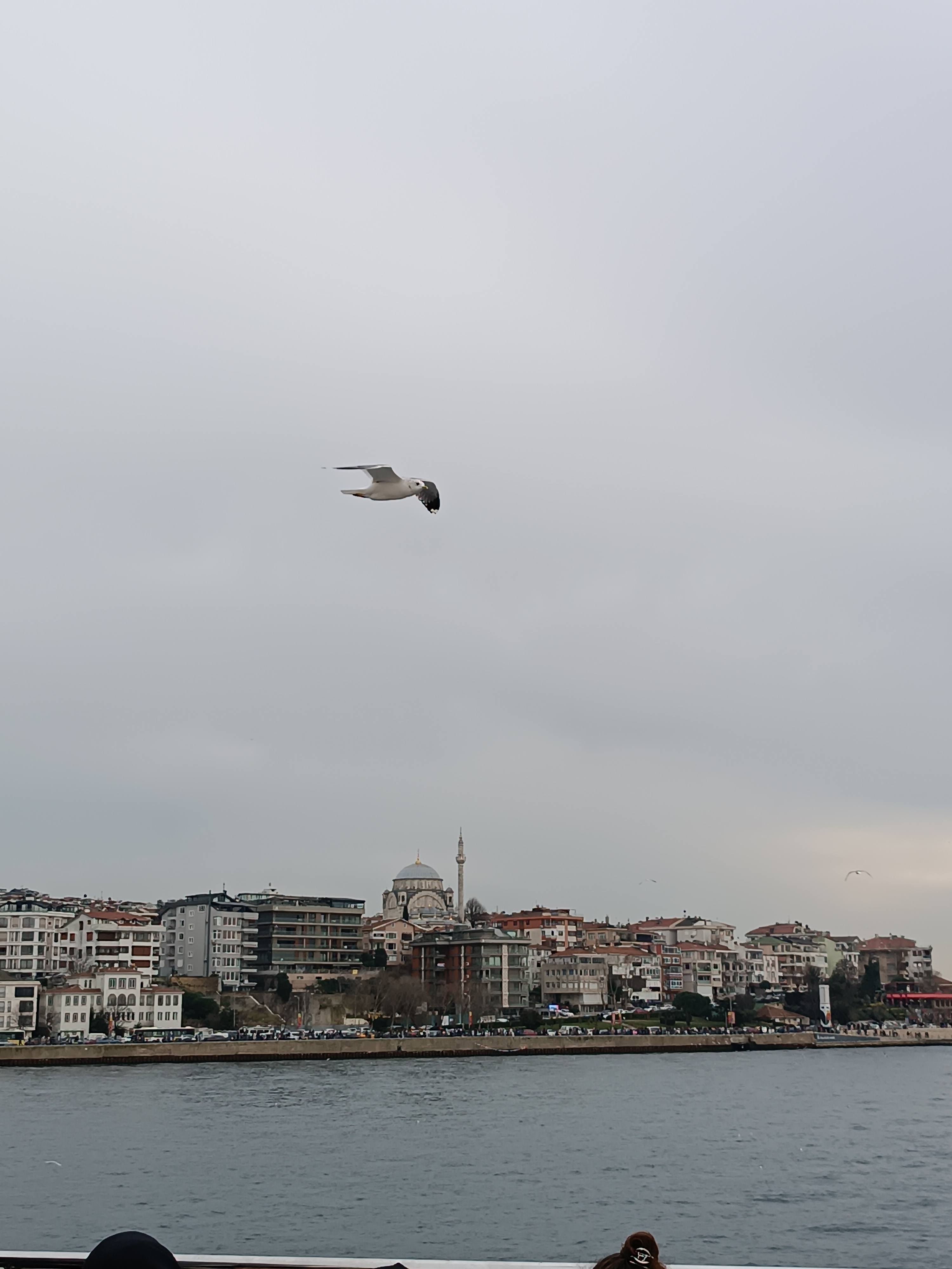 IMG_20250130_162359.jpg