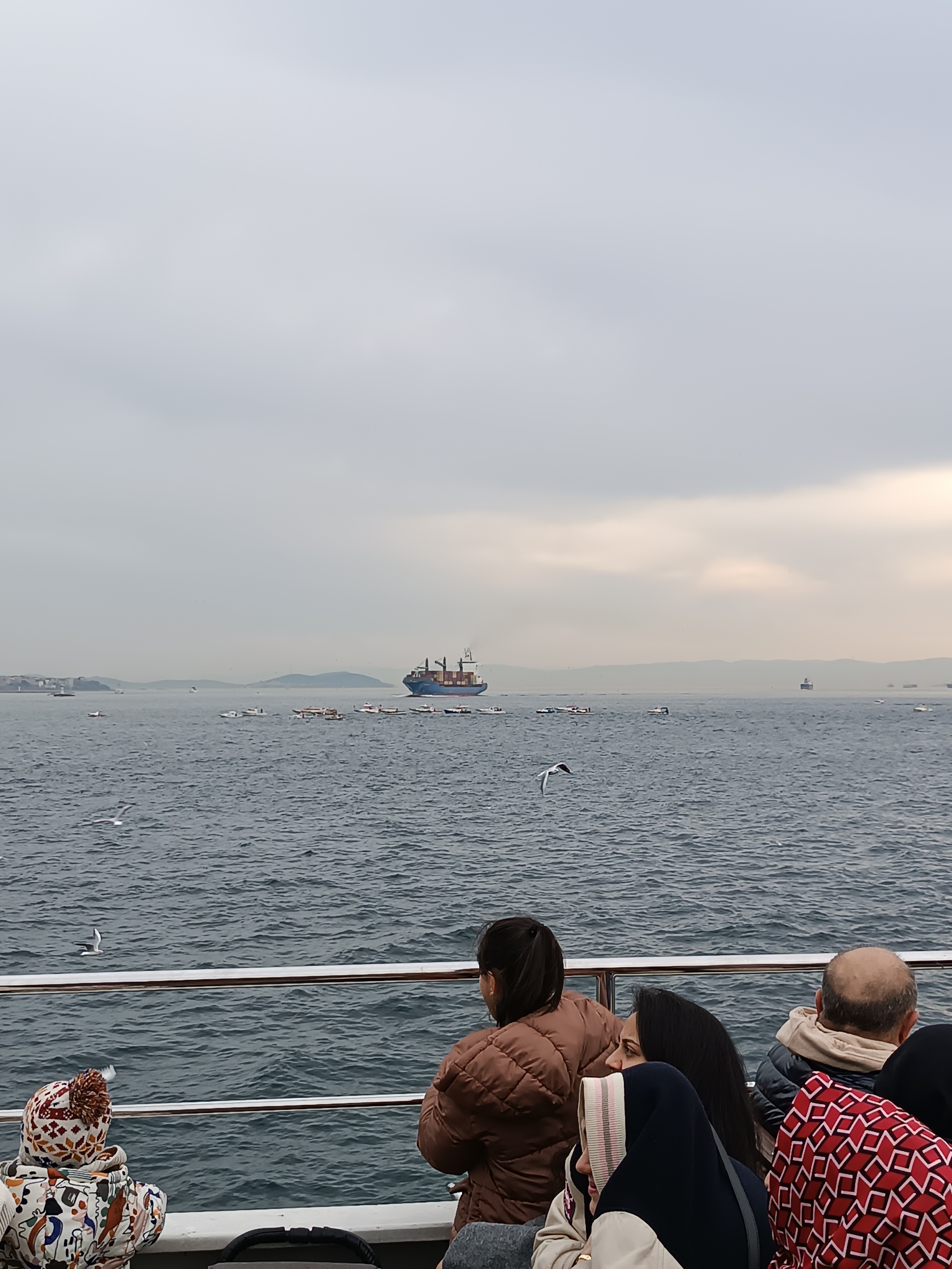 IMG_20250130_162733.jpg