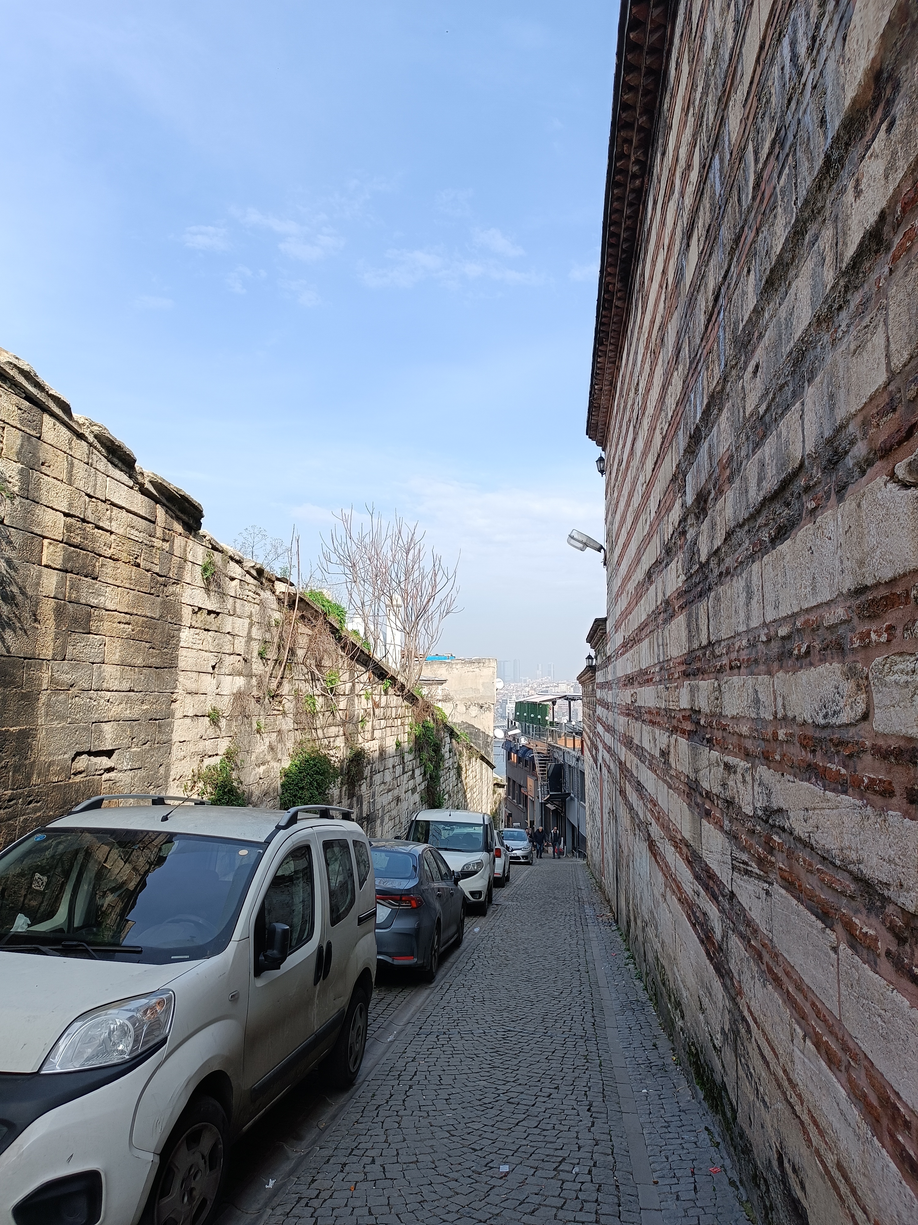 IMG_20250131_125901.jpg
