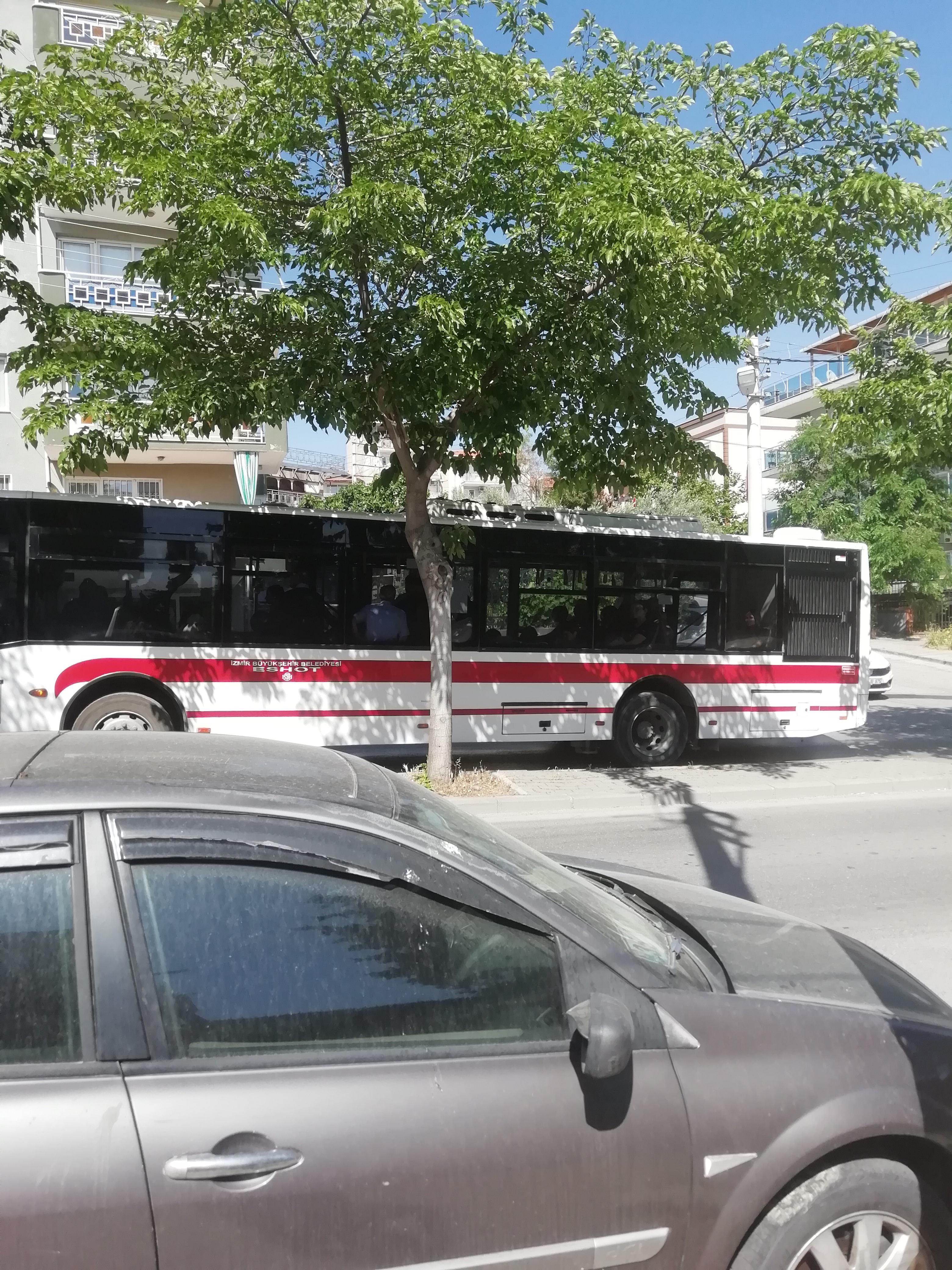 IMG_20250515_160142.jpg