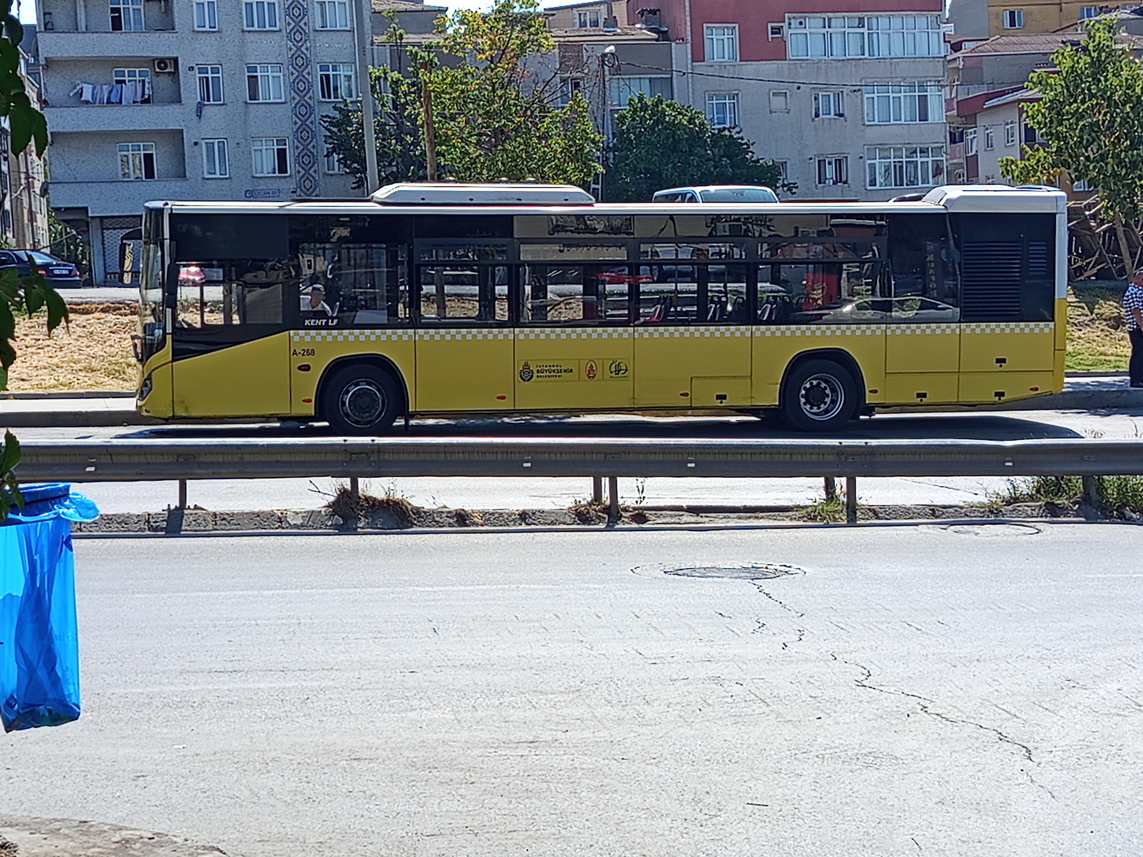 IMG_20250717_155144.jpg