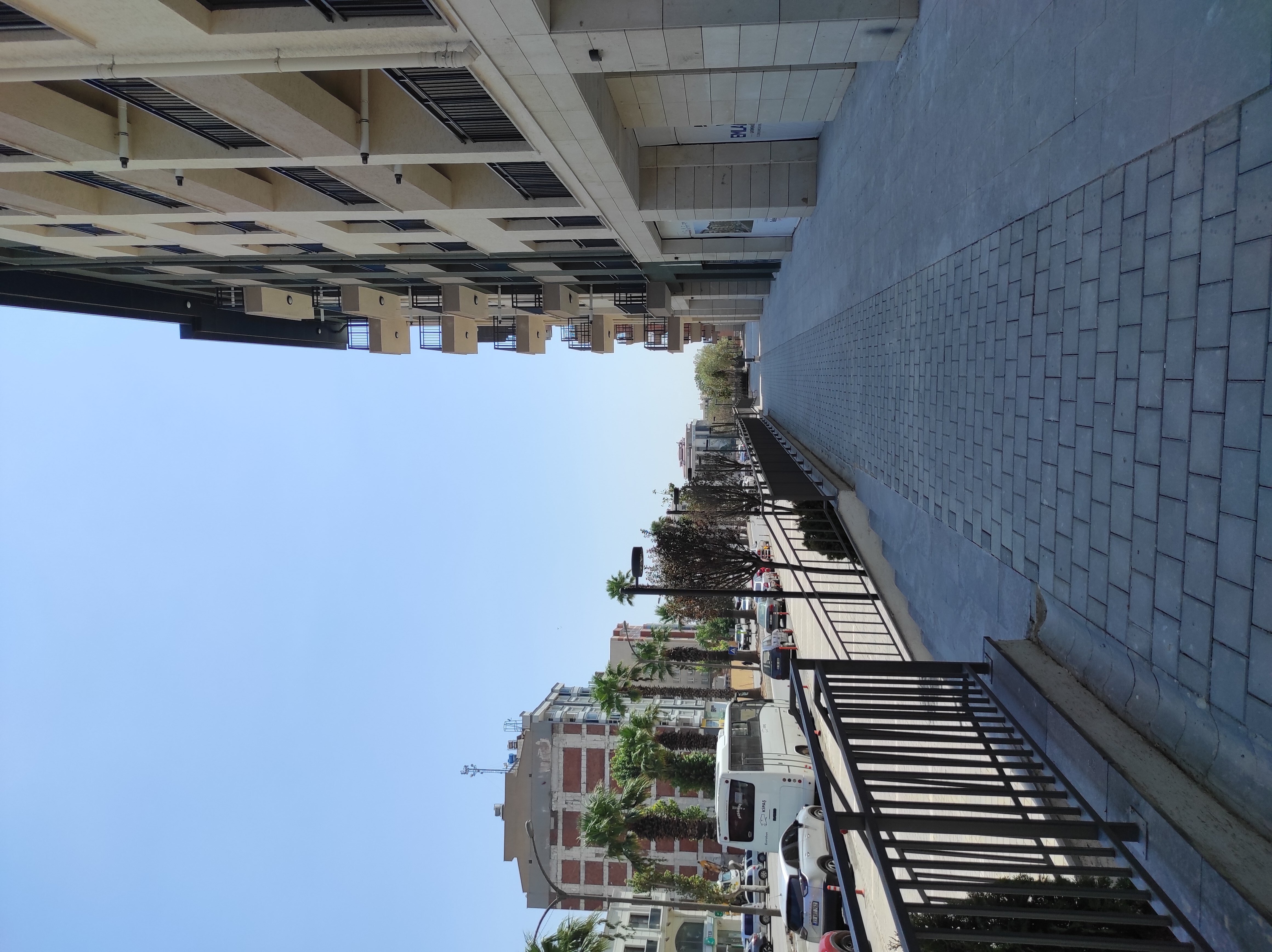 IMG_20250829_123446.jpg