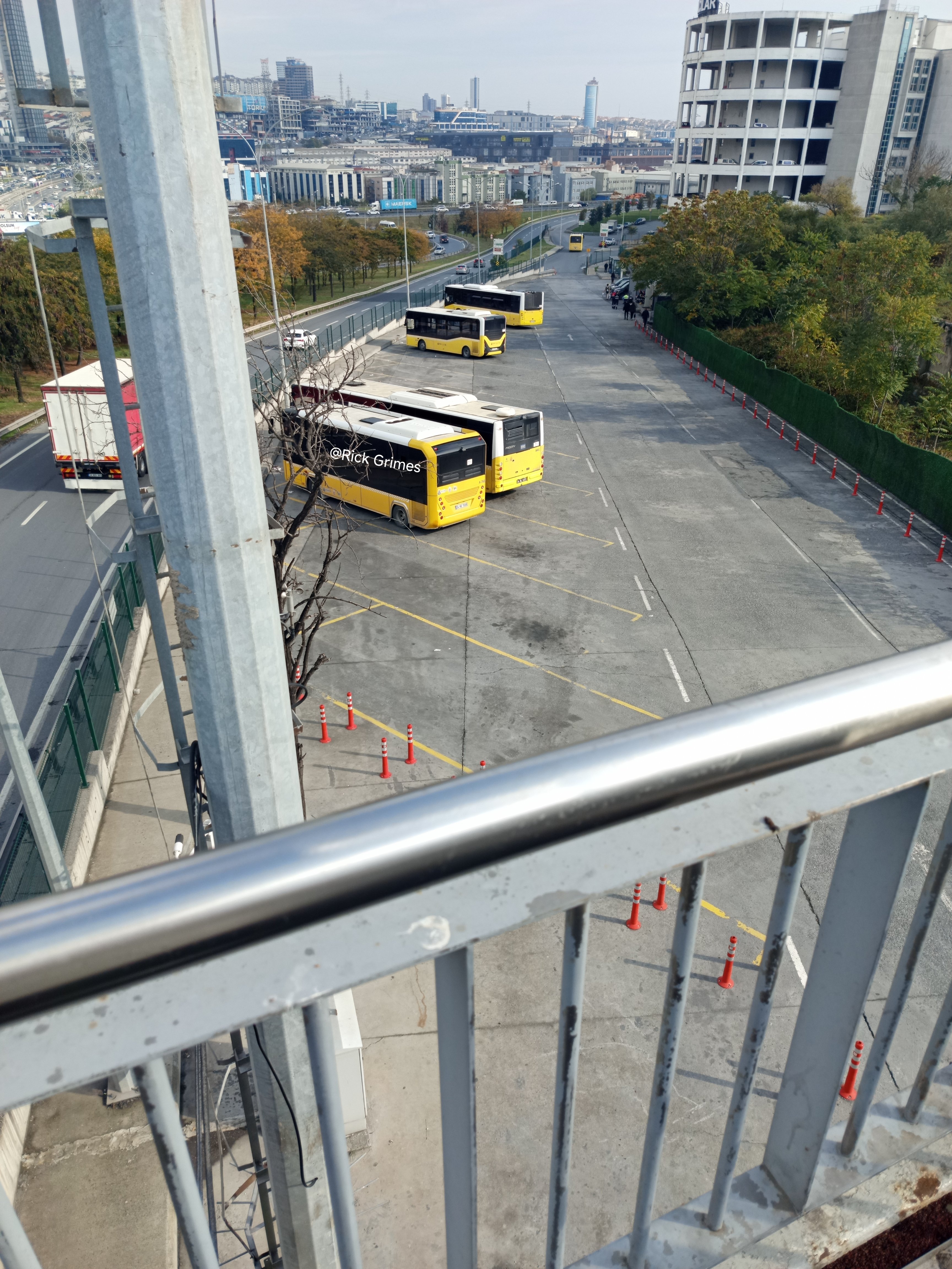 IMG_20251018_150448.jpg
