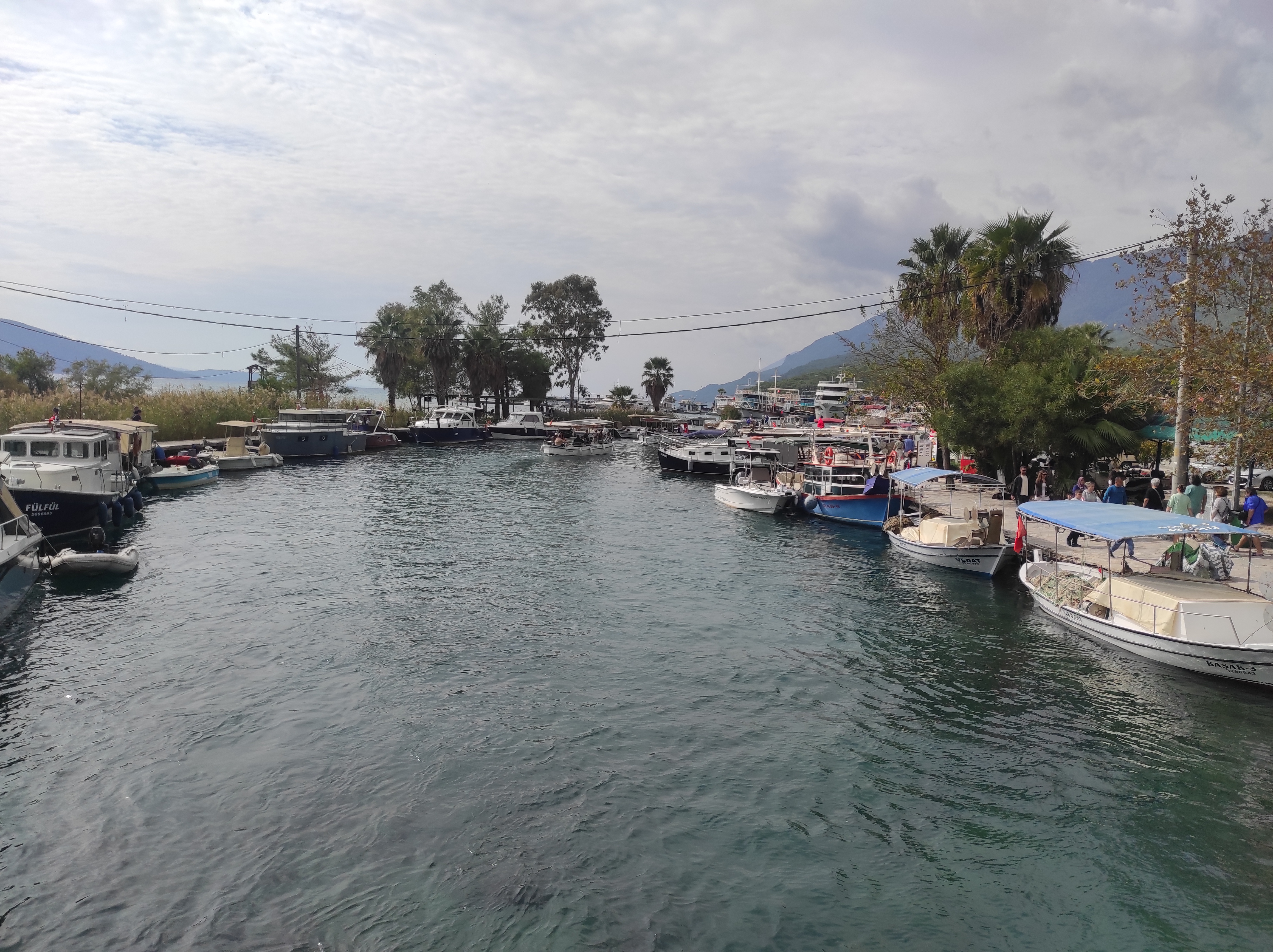 IMG_20251019_135759.jpg