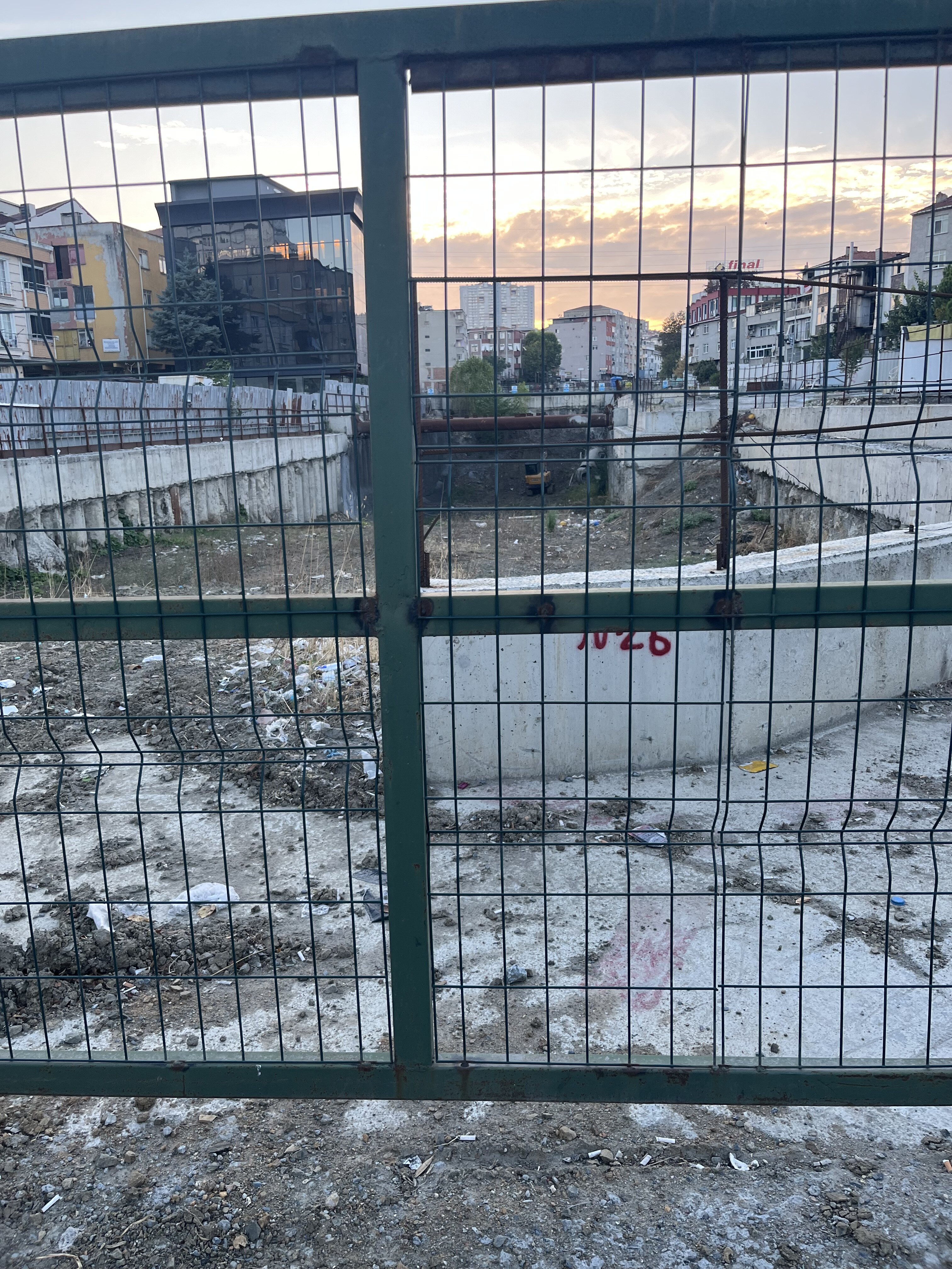 IMG_2369.jpeg