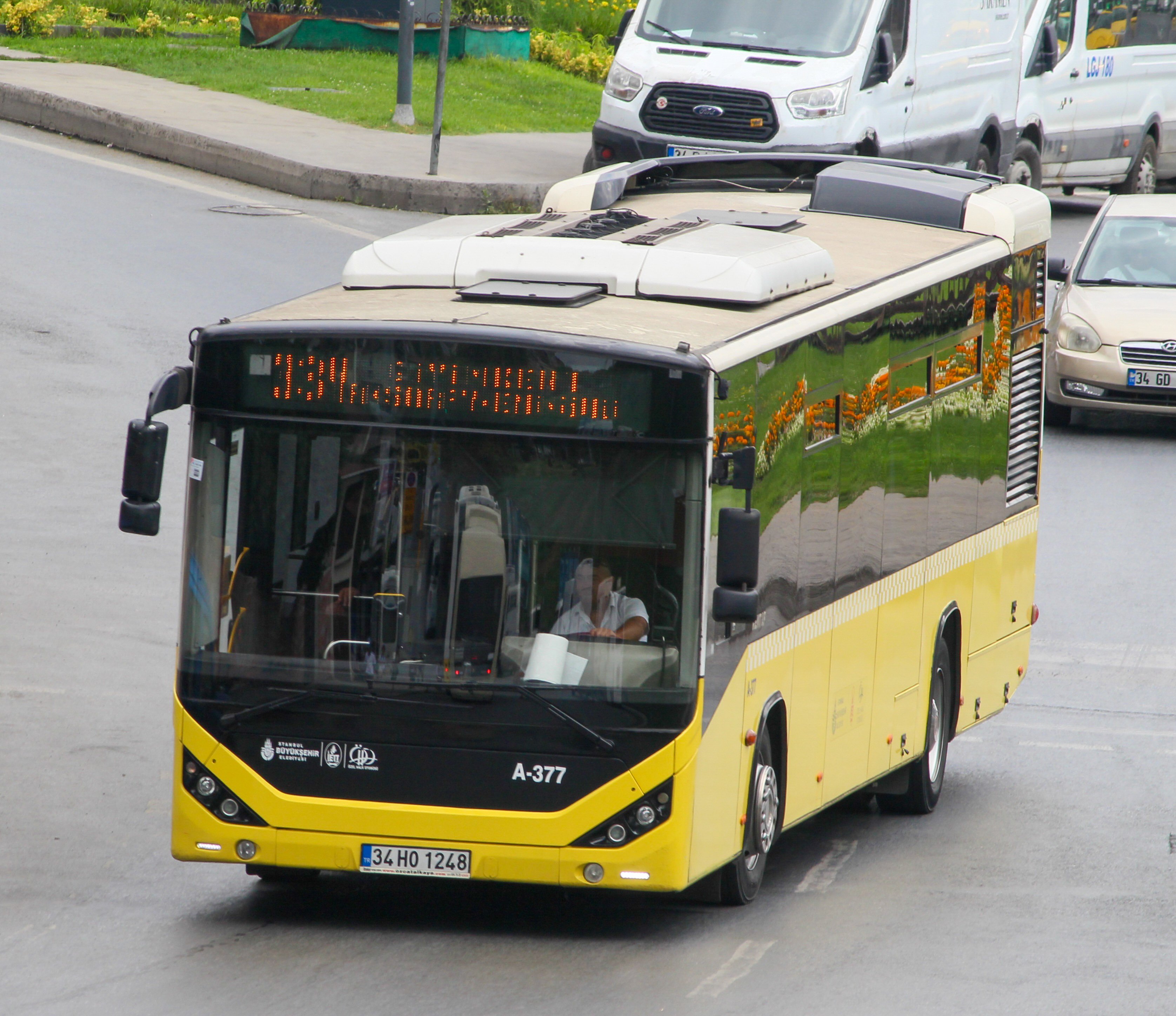 IMG_2529 (1).jpg