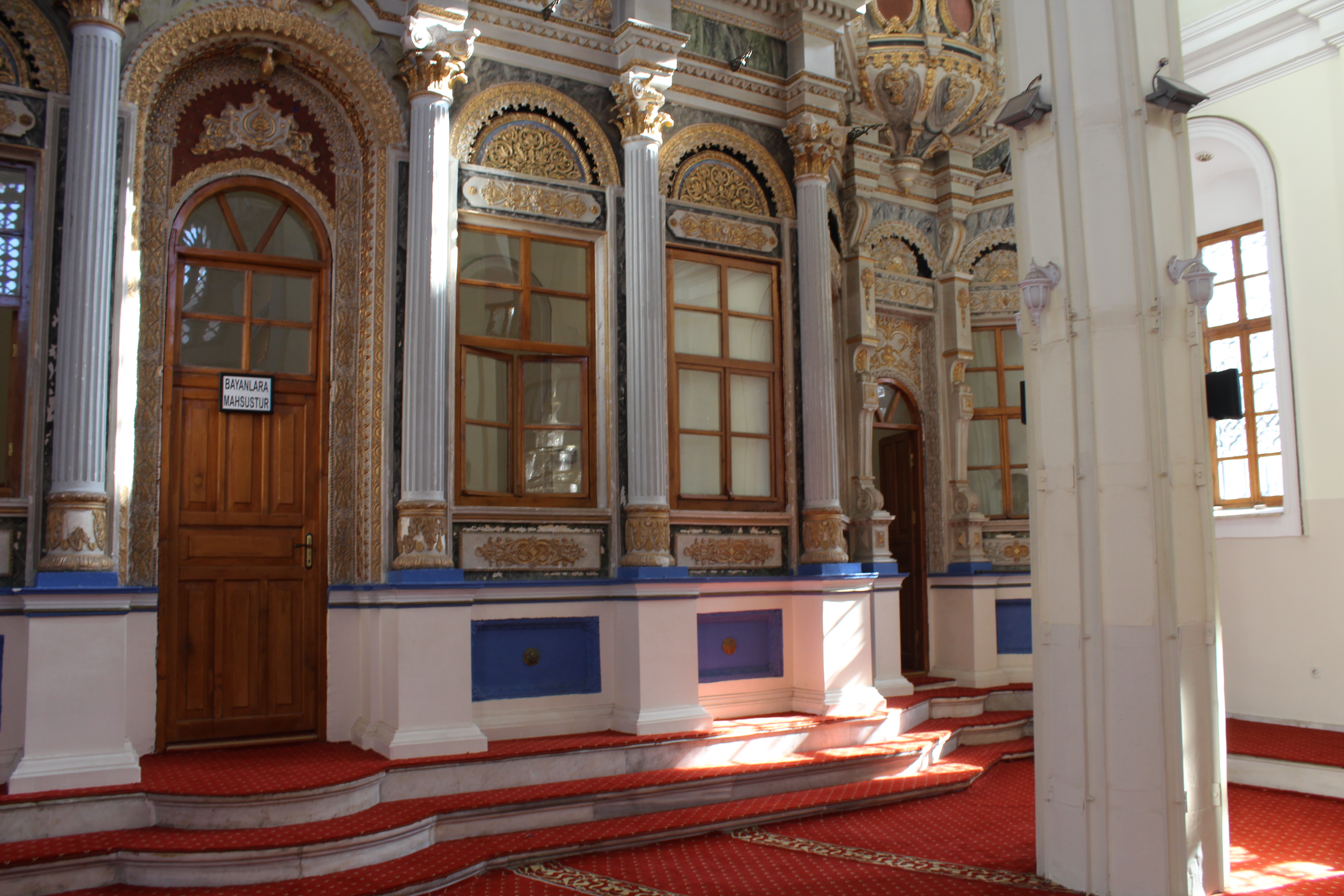 IMG_3444.JPG