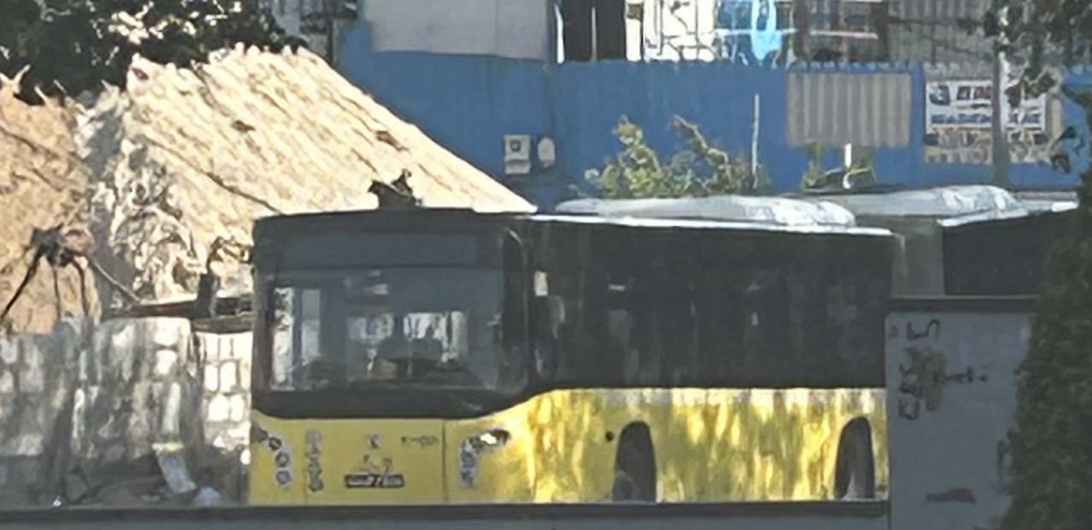 IMG_3487.jpeg