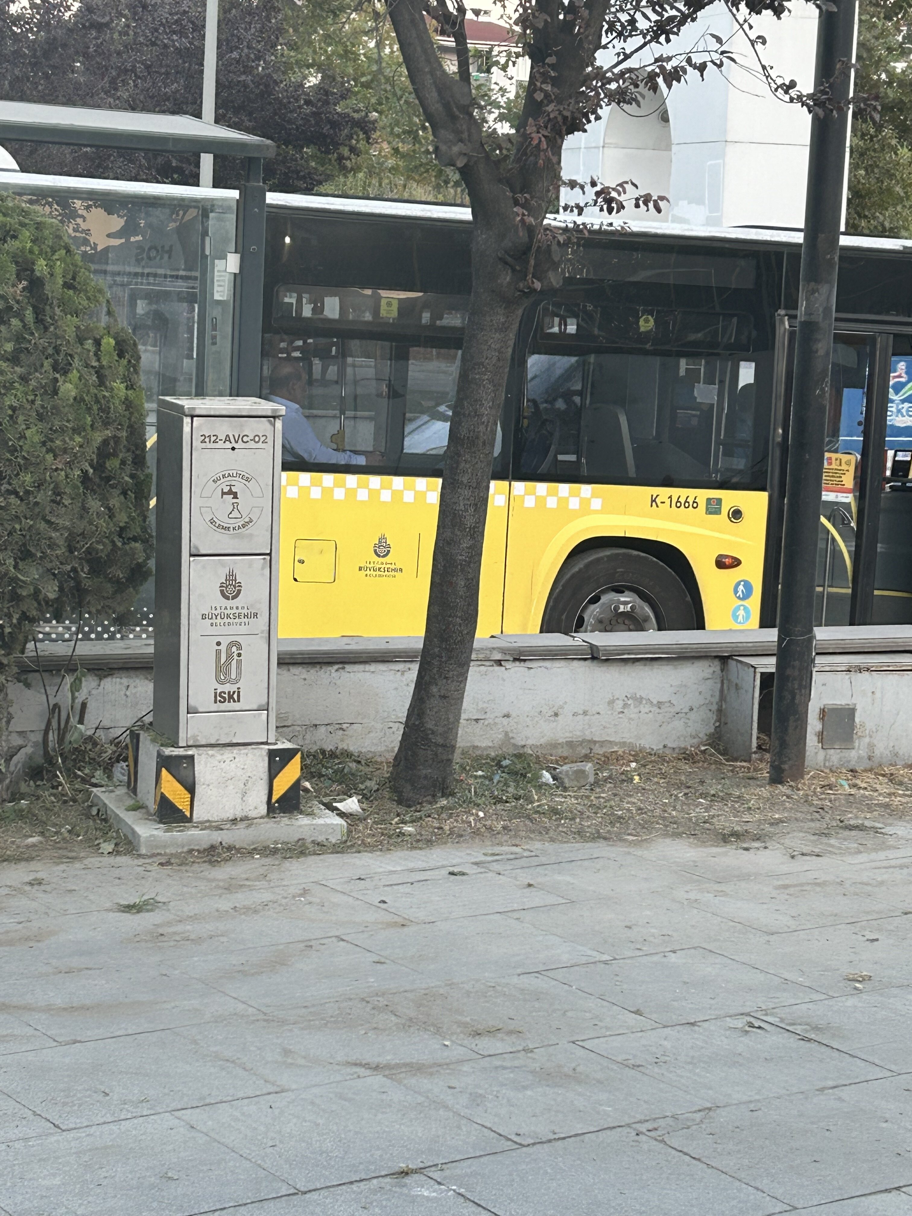 IMG_3652.jpeg