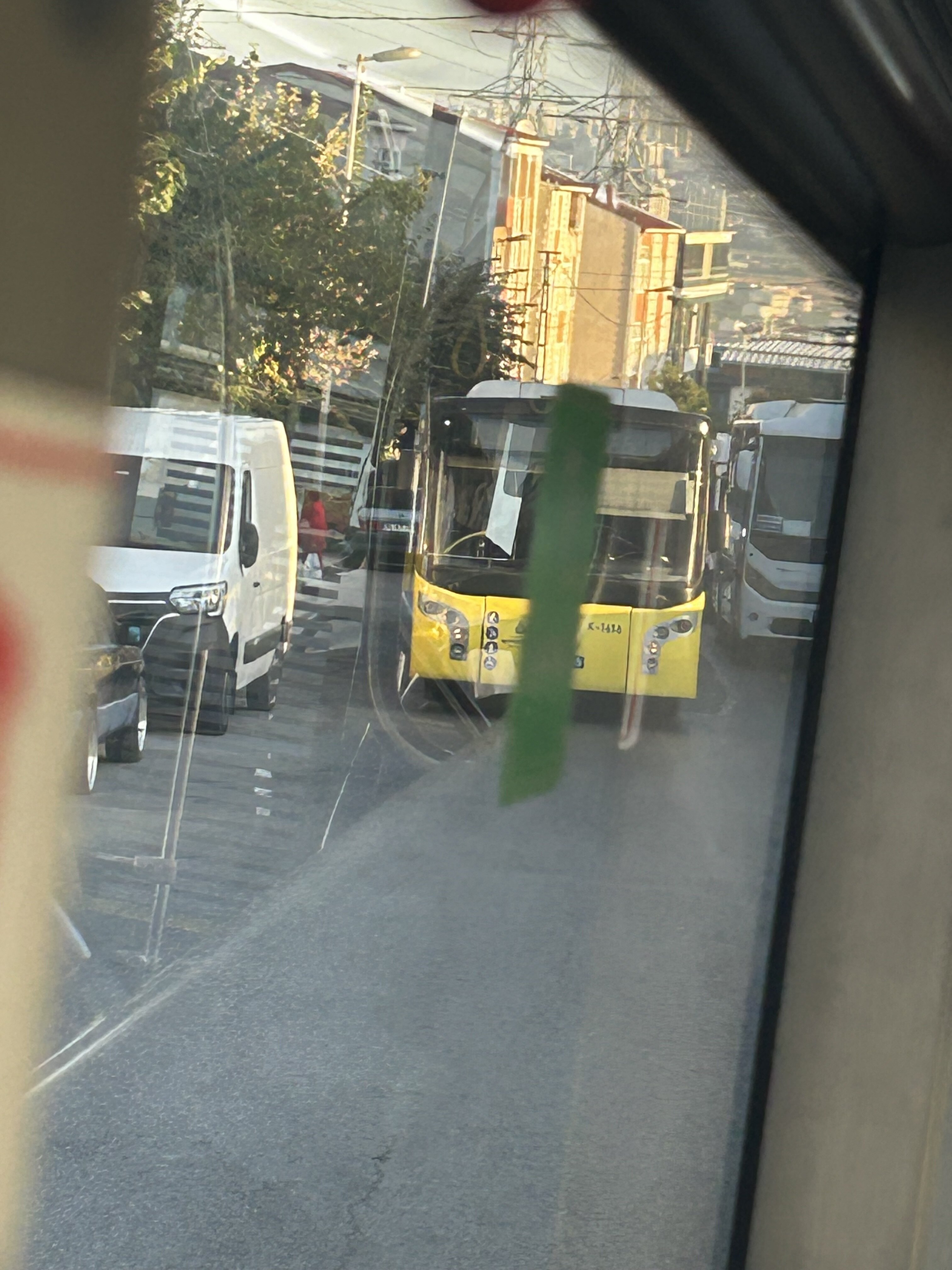 IMG_4409.jpeg