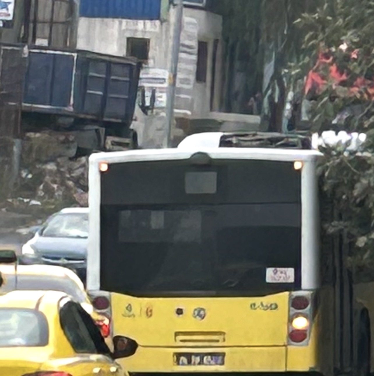 IMG_4625.jpeg