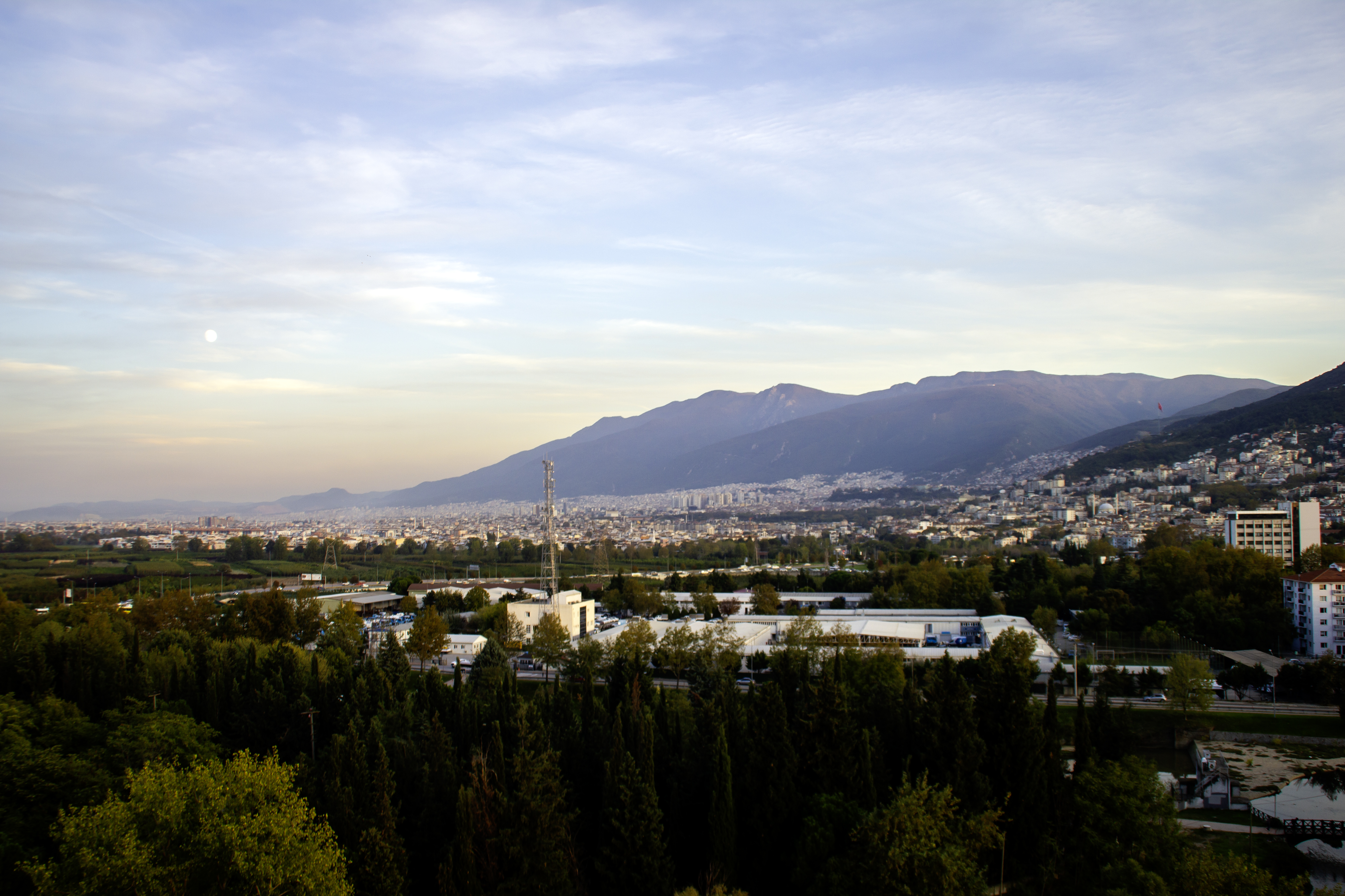 IMG_6445.jpg