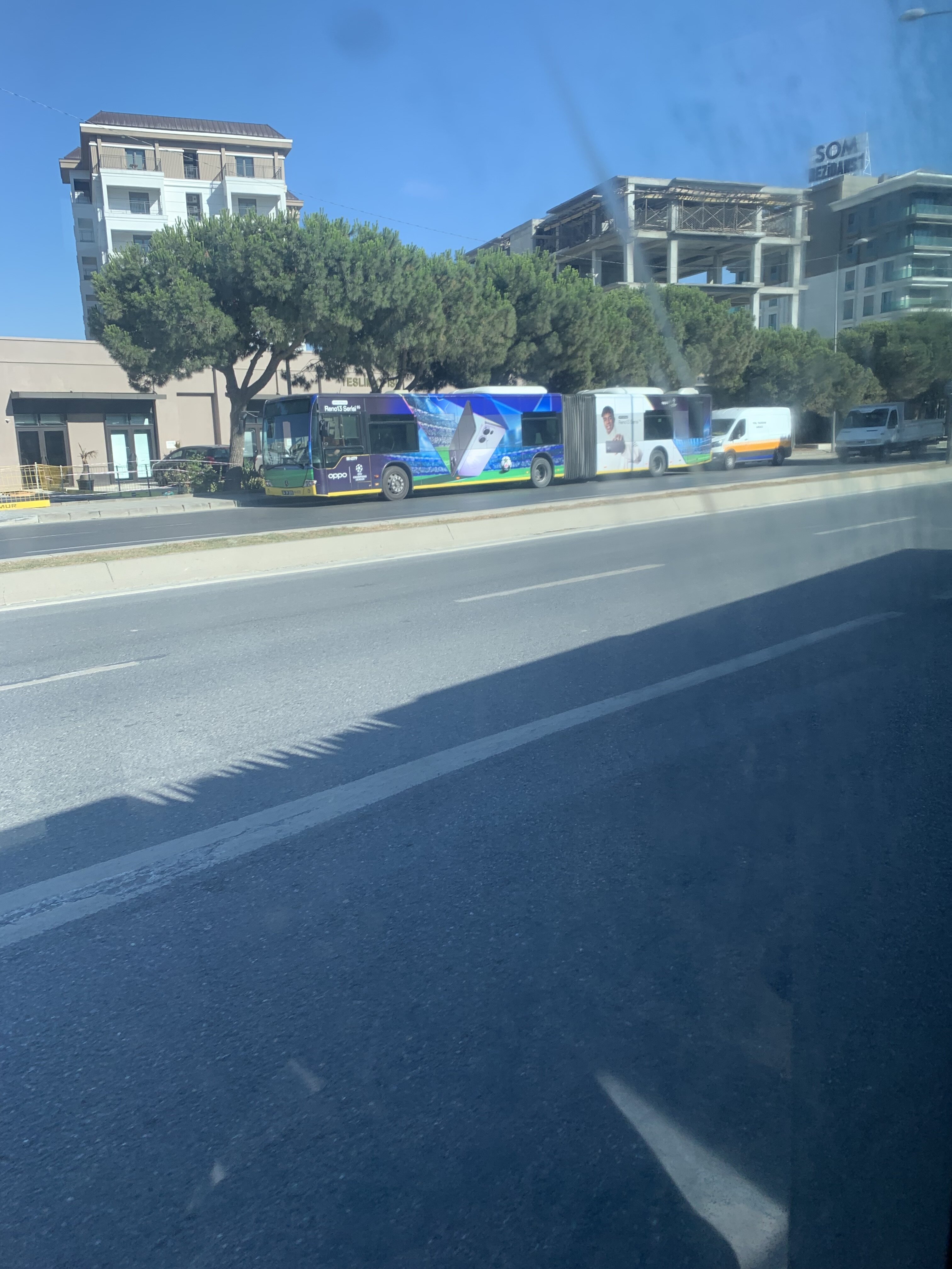 IMG_7800.jpeg