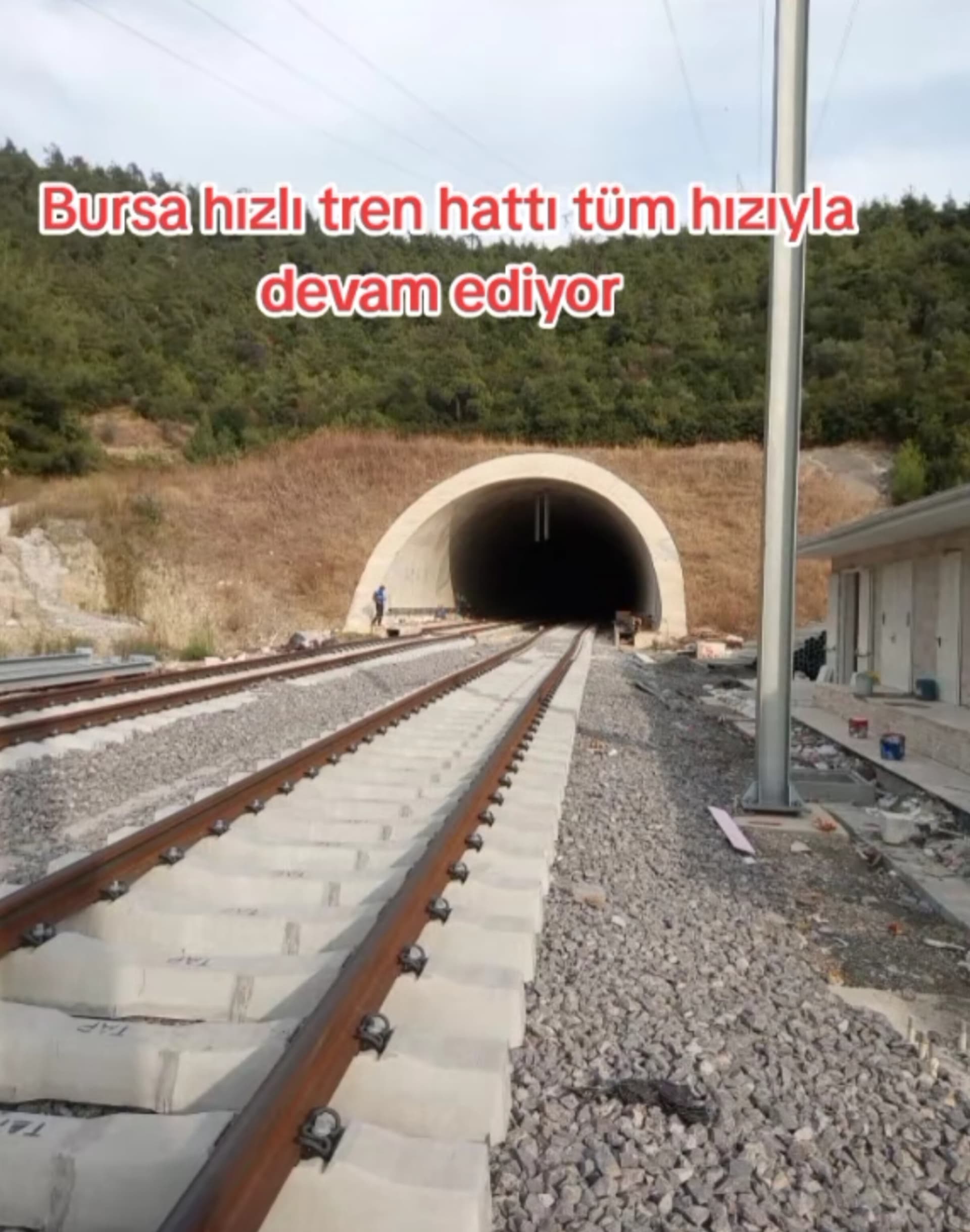 230137546