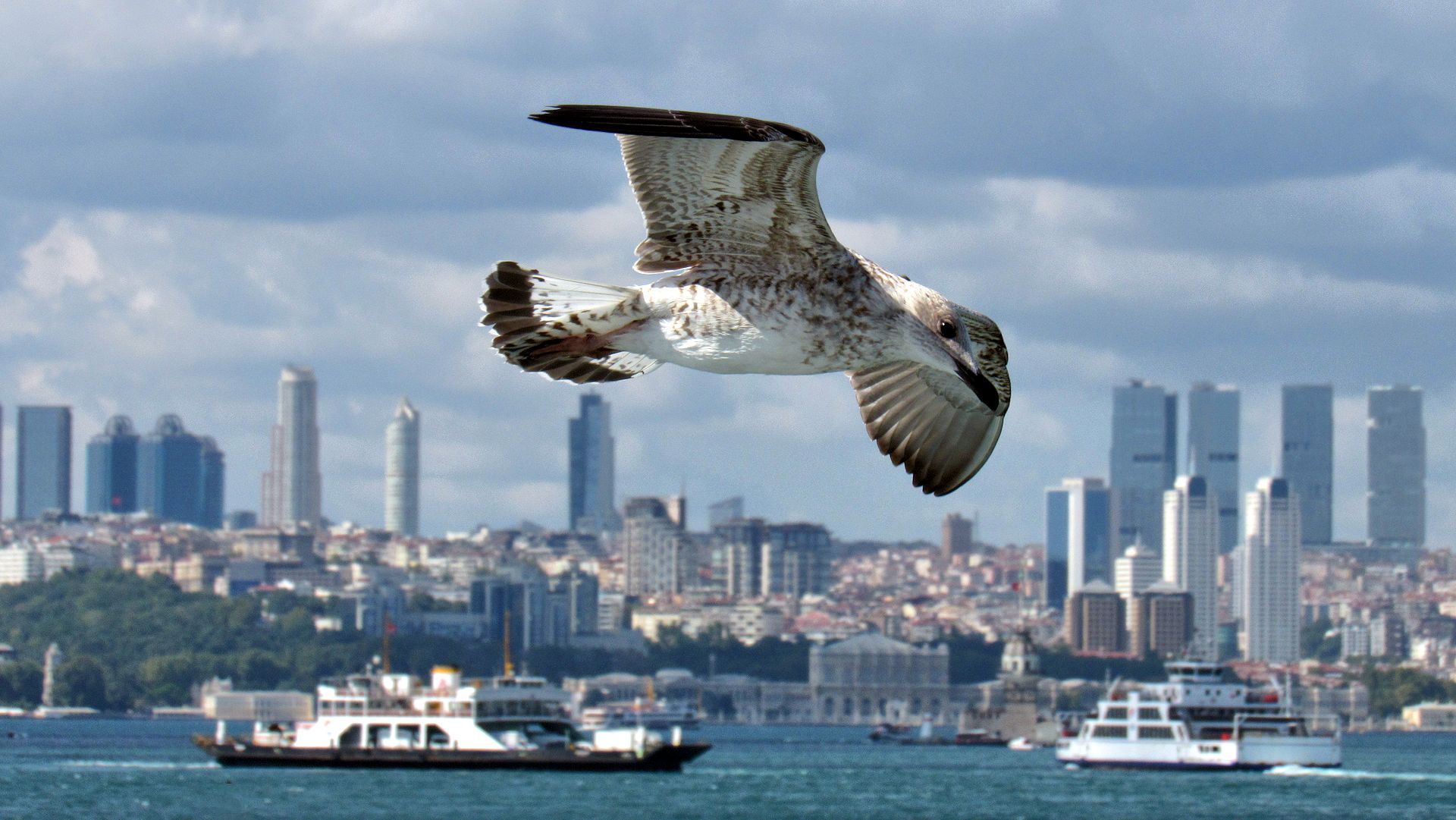 Istanbul (627).JPG