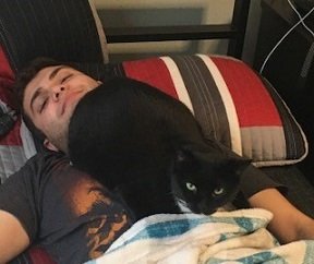 Kara Kedi.jpg
