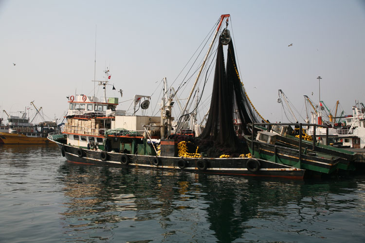 kumkapıbalıkçılar