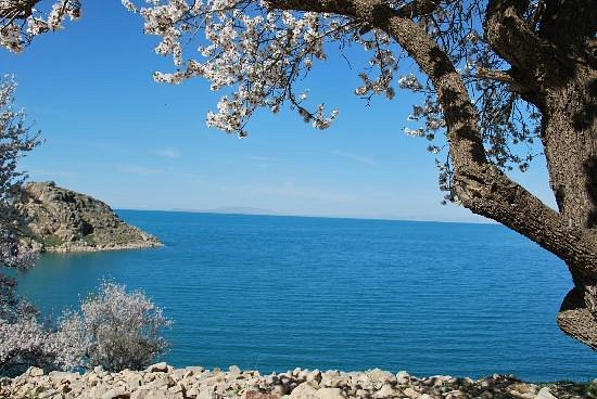 lake-van