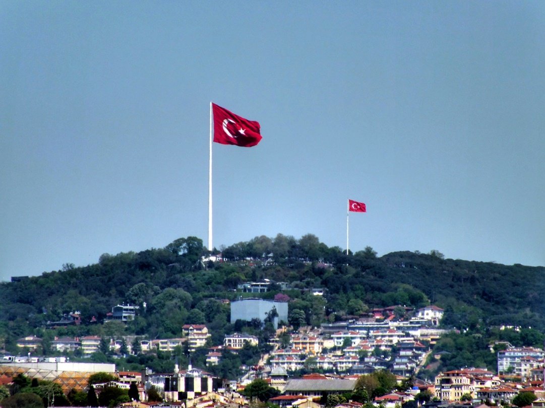 MehMet5207 (447)