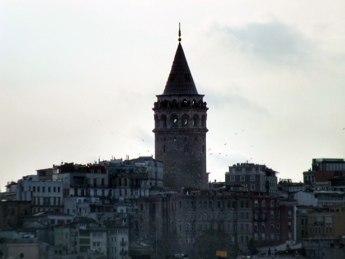 MehMet5207 (449)