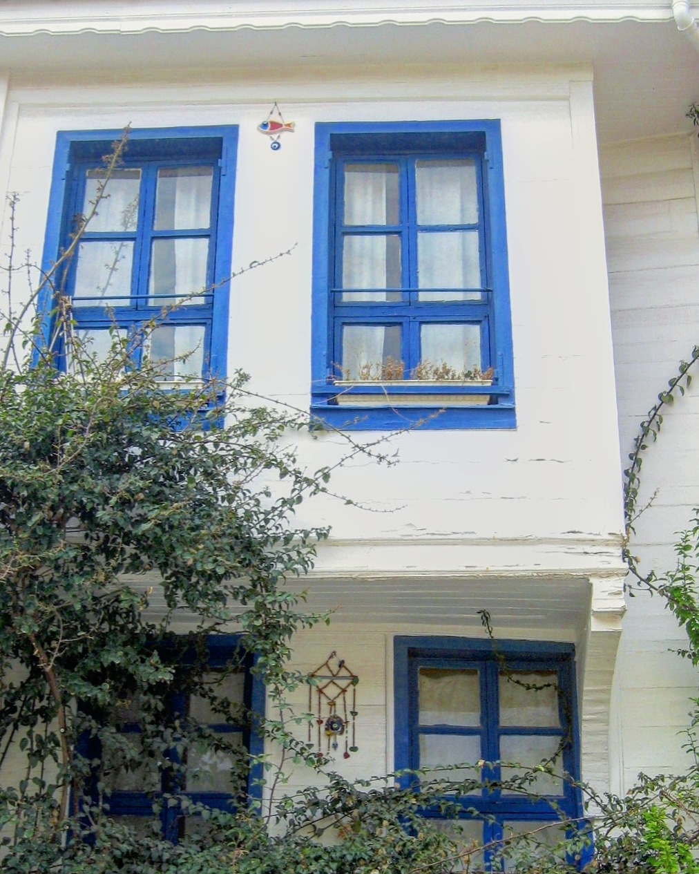 MUDANYA 5