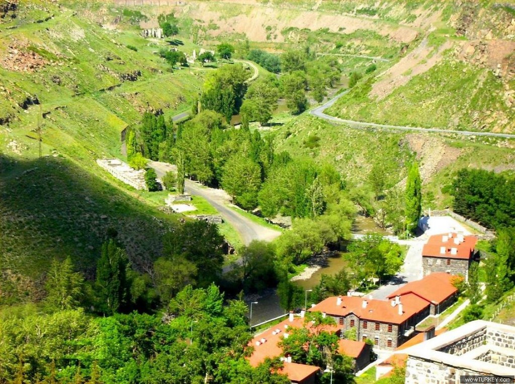 mustafa_iibf