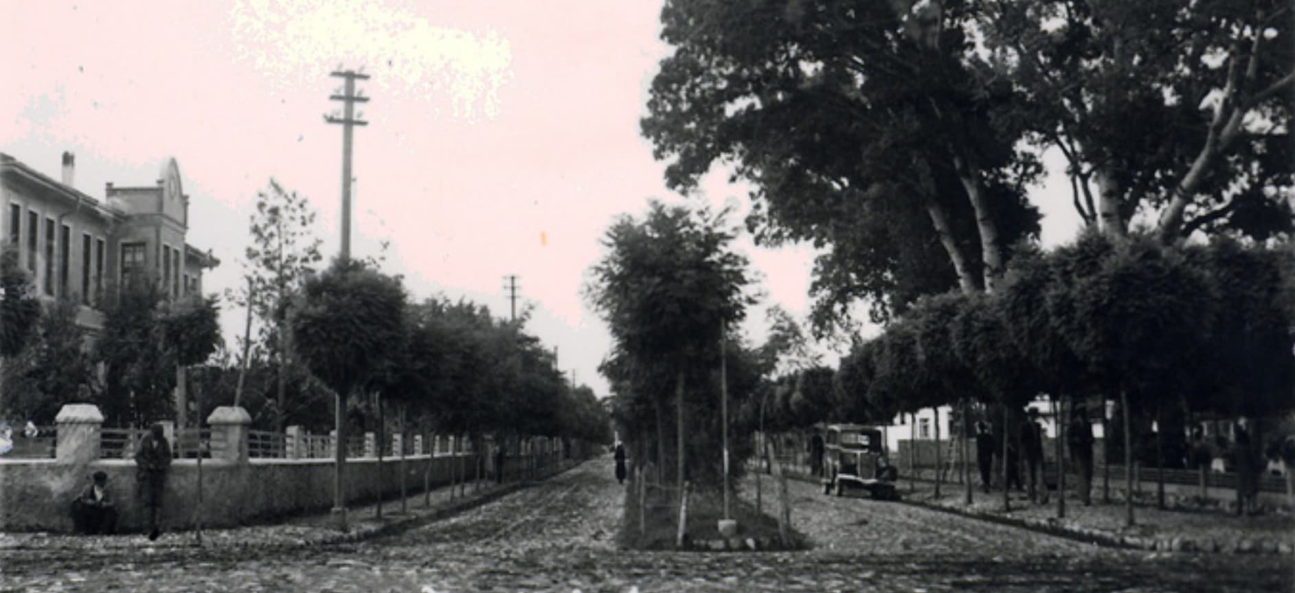 N.DOĞRULC