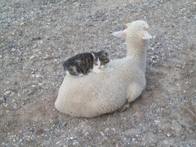 Nice place to sleep.jpg