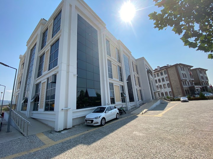 Ön Sol Birleşim