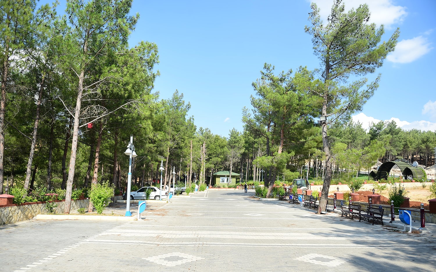 park3_1