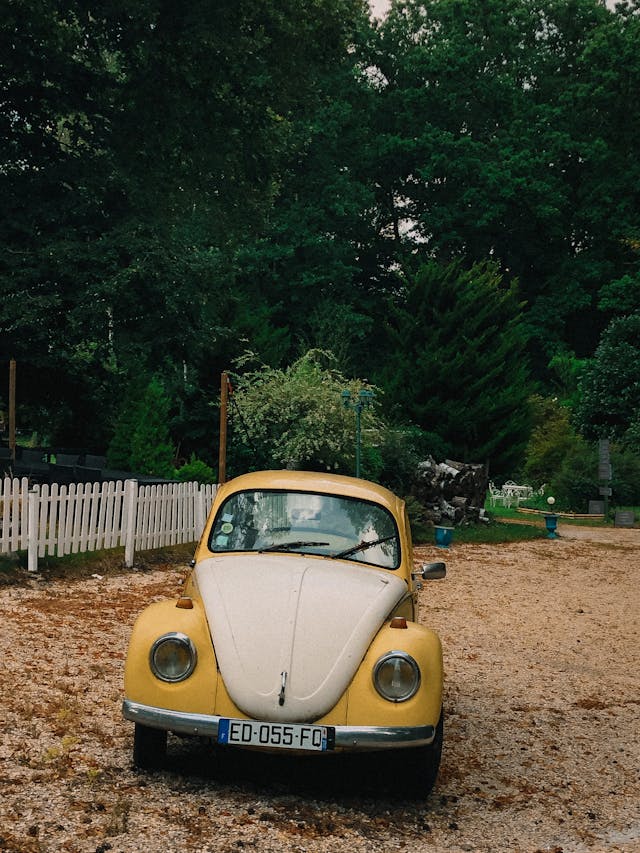 pexels-media-13000670.jpeg